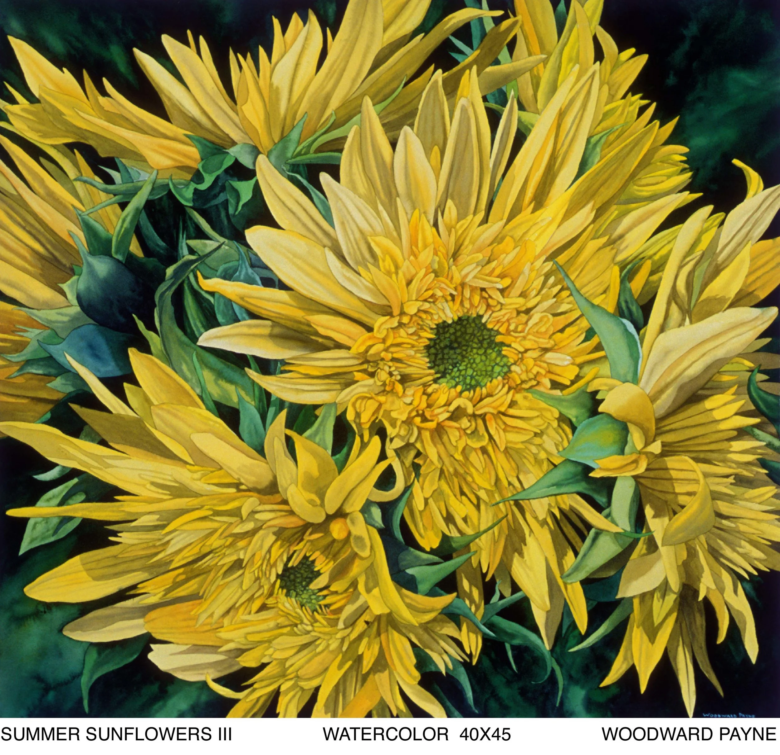 SUMMER SUNFLOWERS III 40x45 PSD copy.jpg