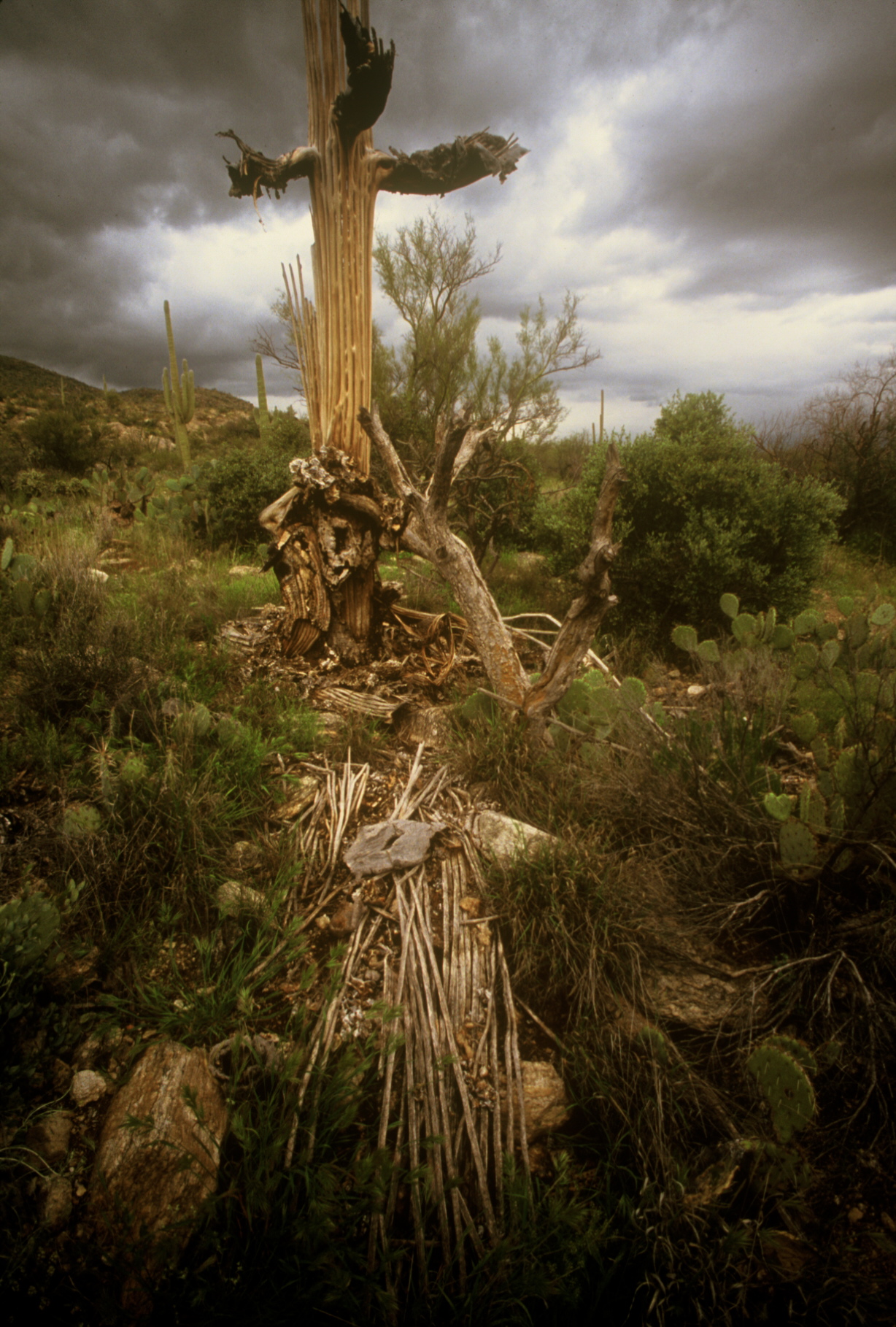 ANDERSO_ANDERSO-R1-E013.jpg
