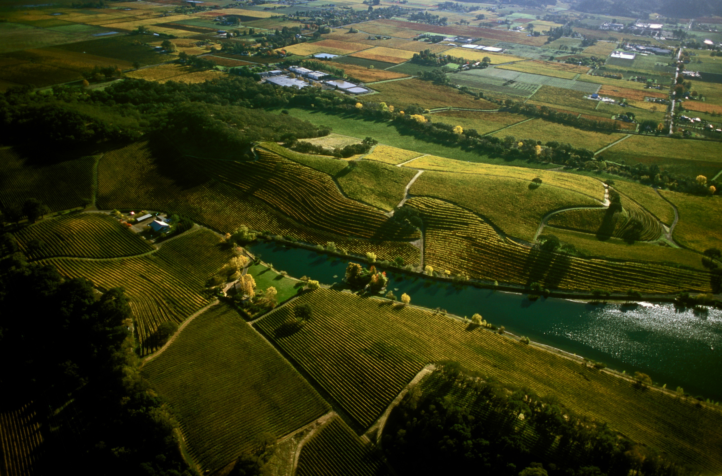 NAPA VALLEY, AERIAL 2.jpg