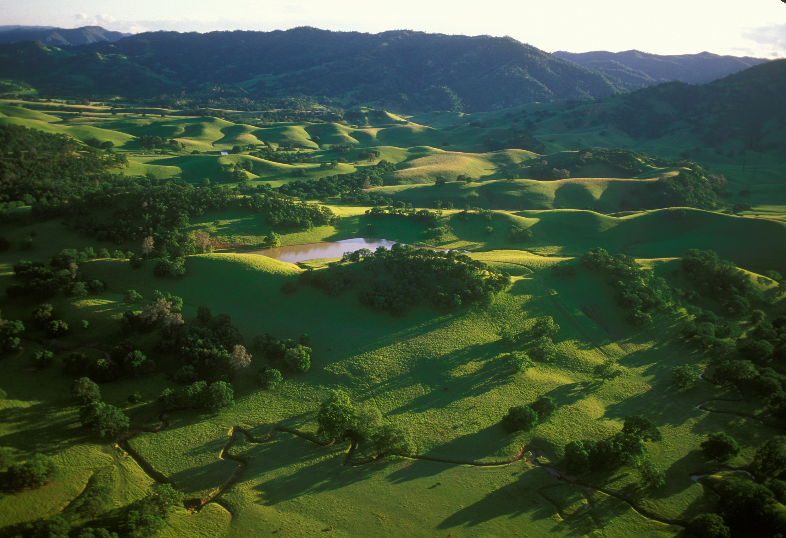 SACRAMENTO VALLEY FOOTHILLS.jpg
