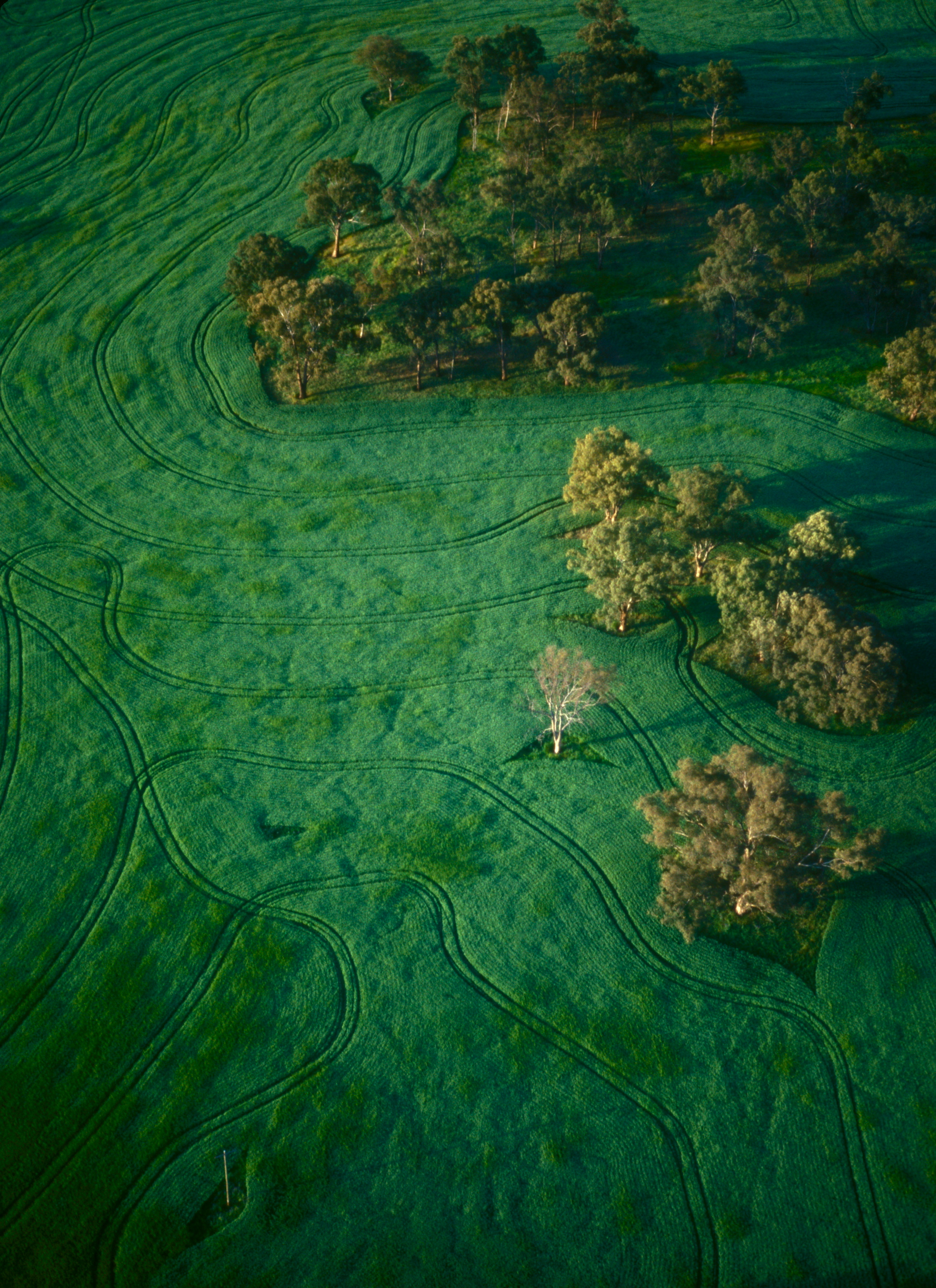 AUSTRALIA FIELD, AERIAL.jpg