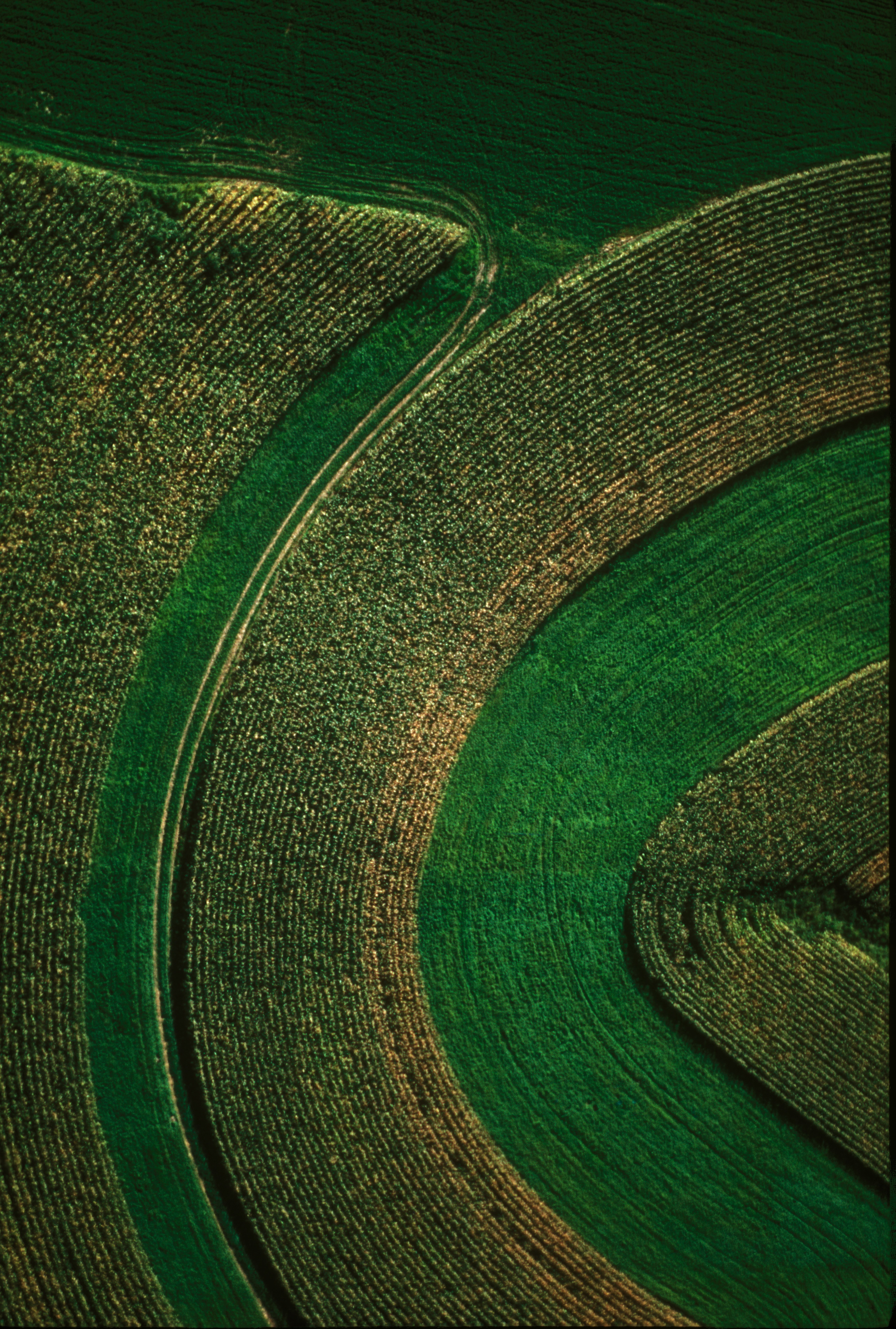 MINNESOTA FIELD 2, AERIAL .jpg