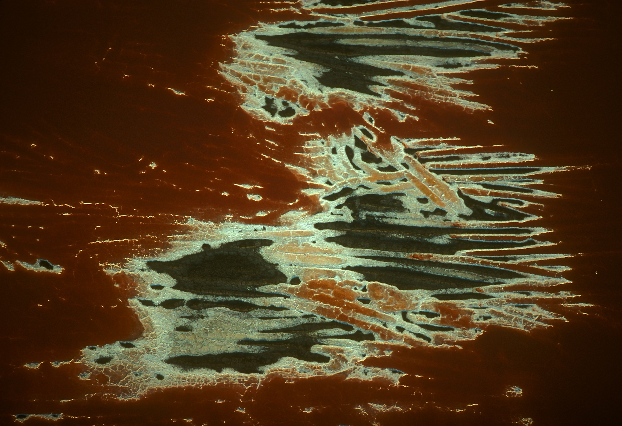 SALT HARVEST III .jpg