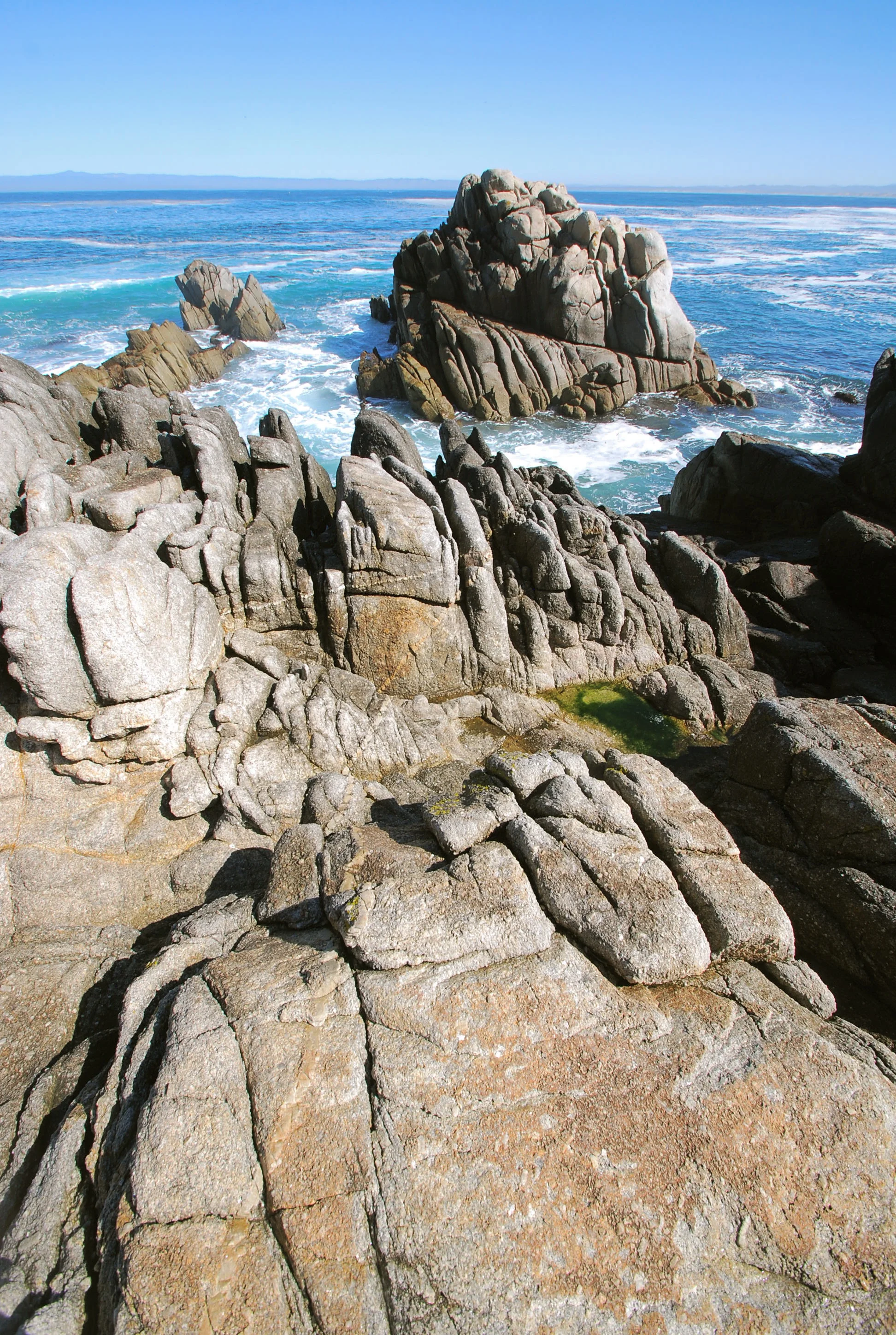 DSC_0356.jpg