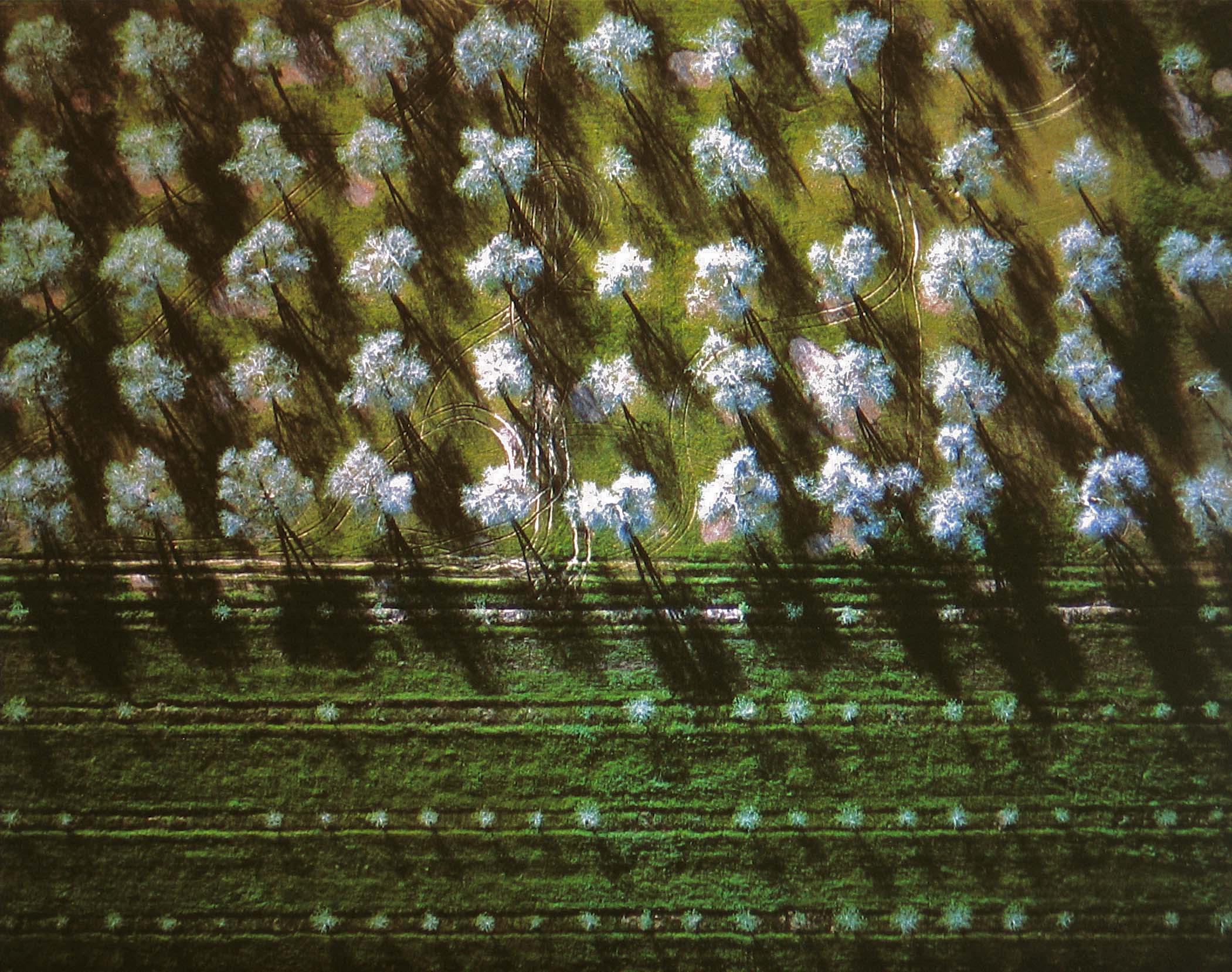 ALMOND GROVE, CIBACHROME copy.jpg