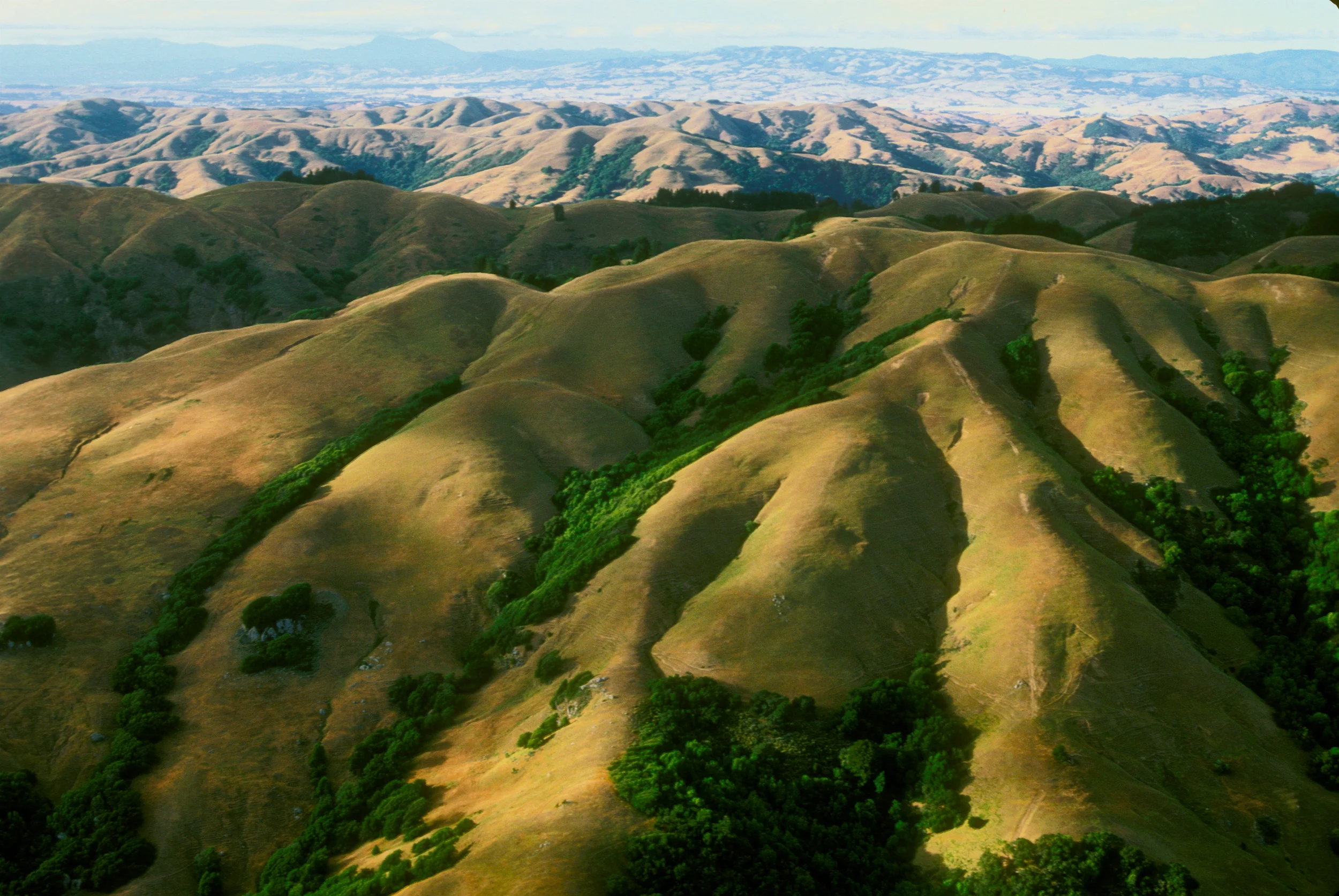 MARIN HILLS, AERIAL 2.jpg