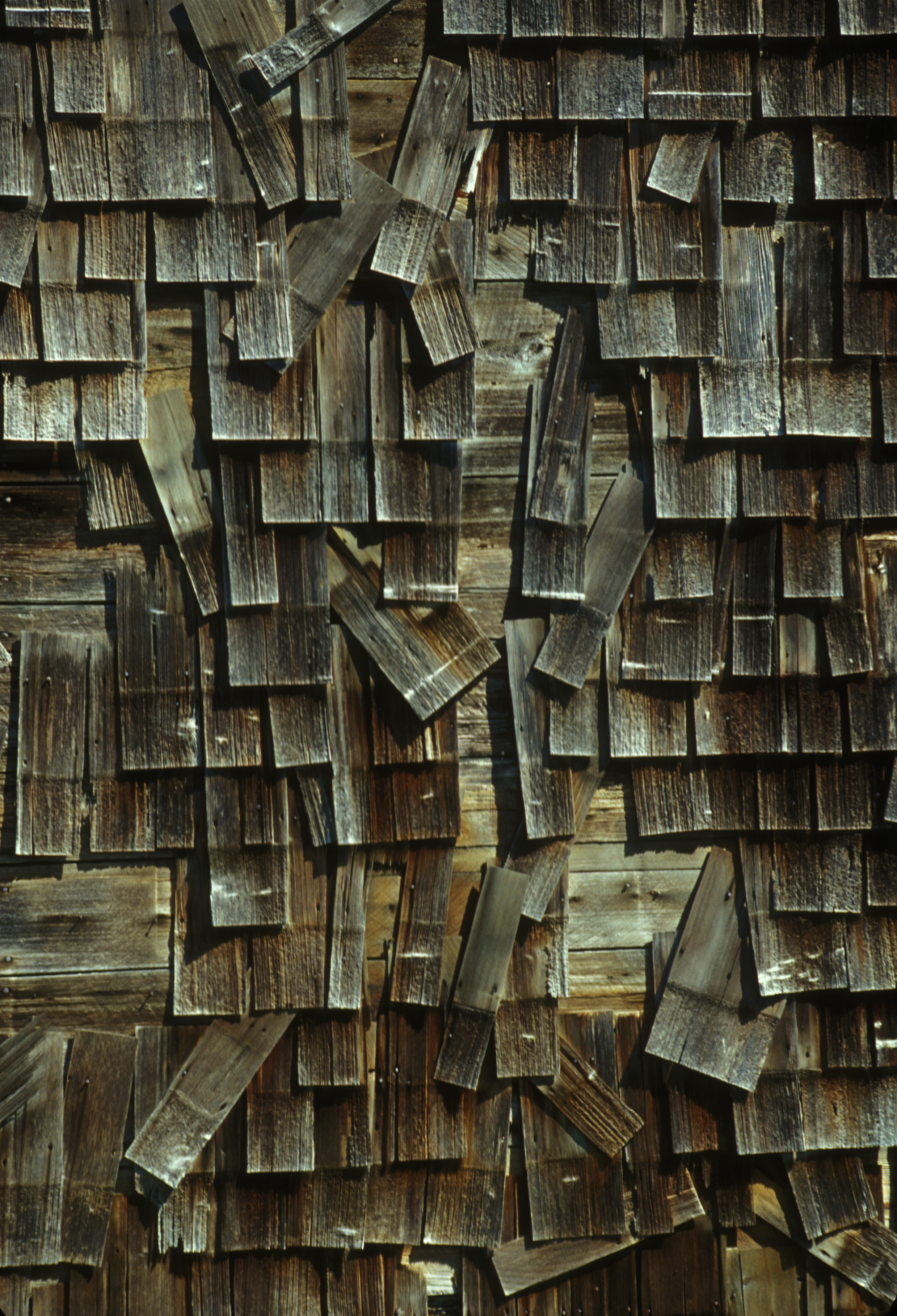 SHINGLES .jpg