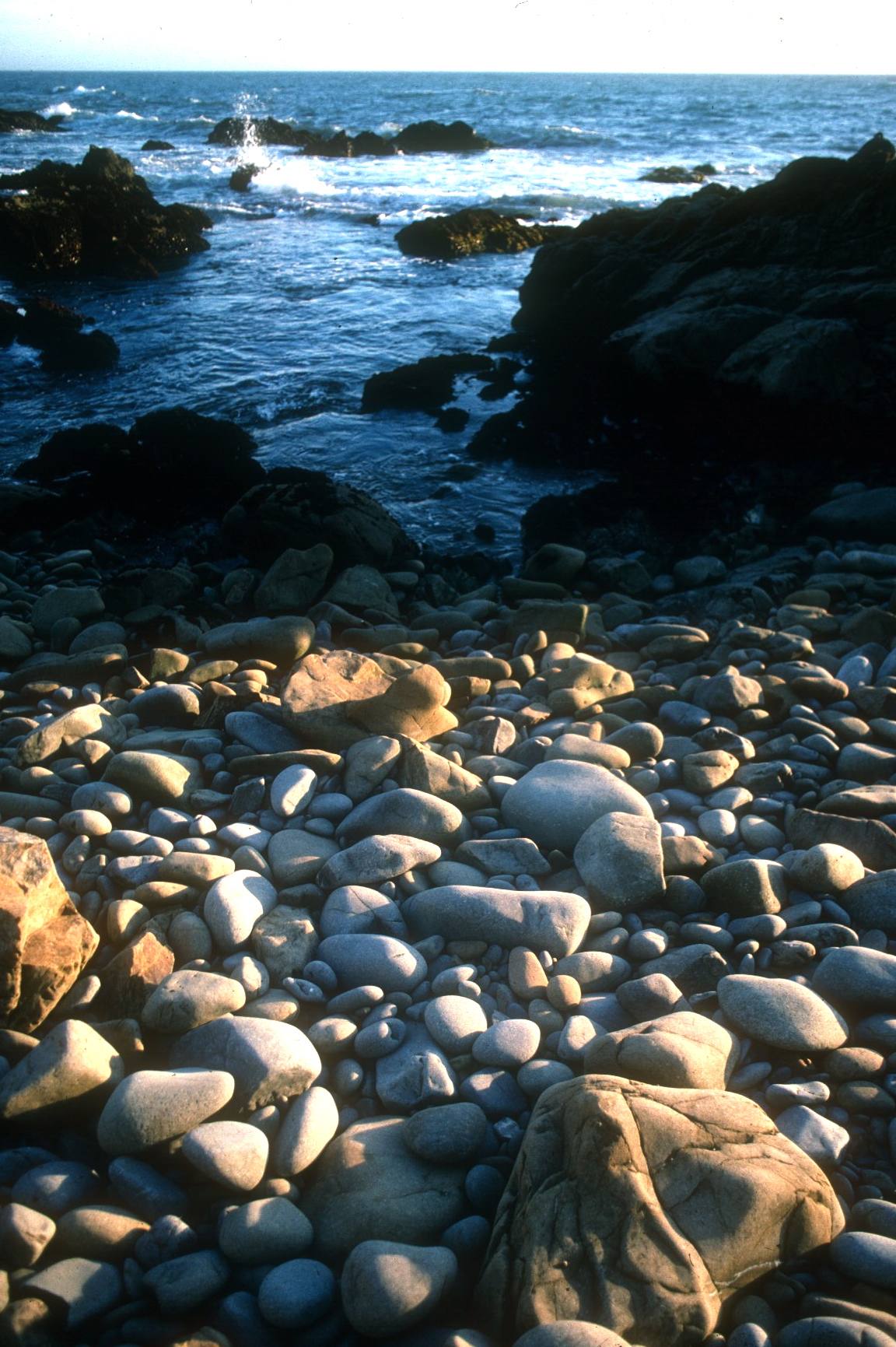 Scan-120224-0044.jpg