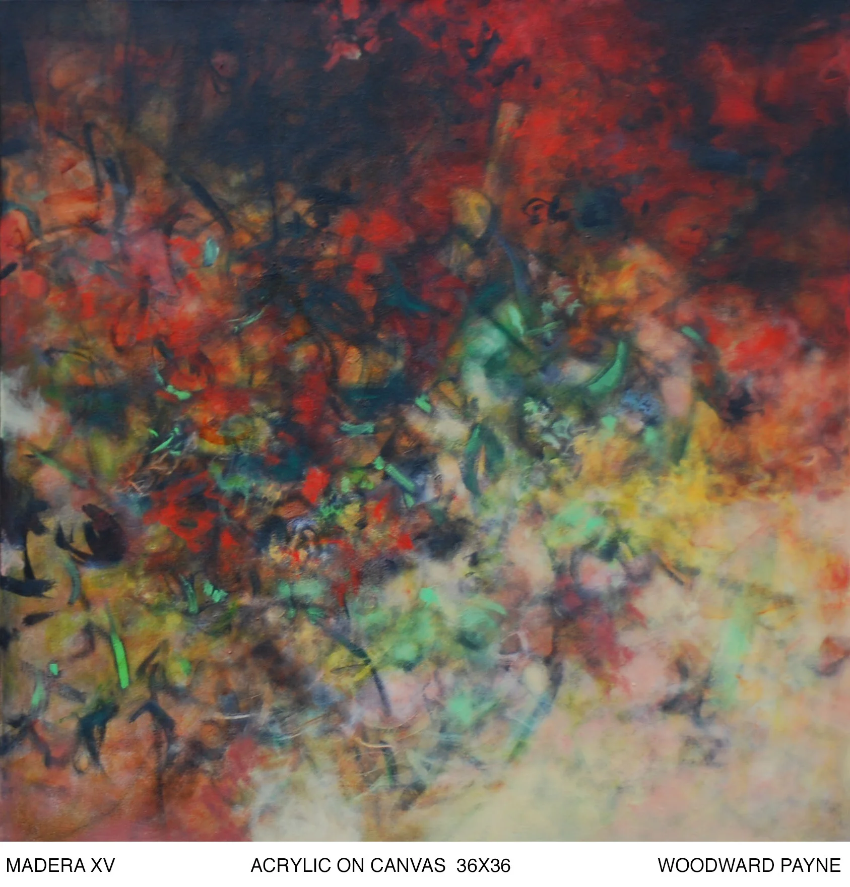 MADERA XV, 36X36 acrylic.jpg