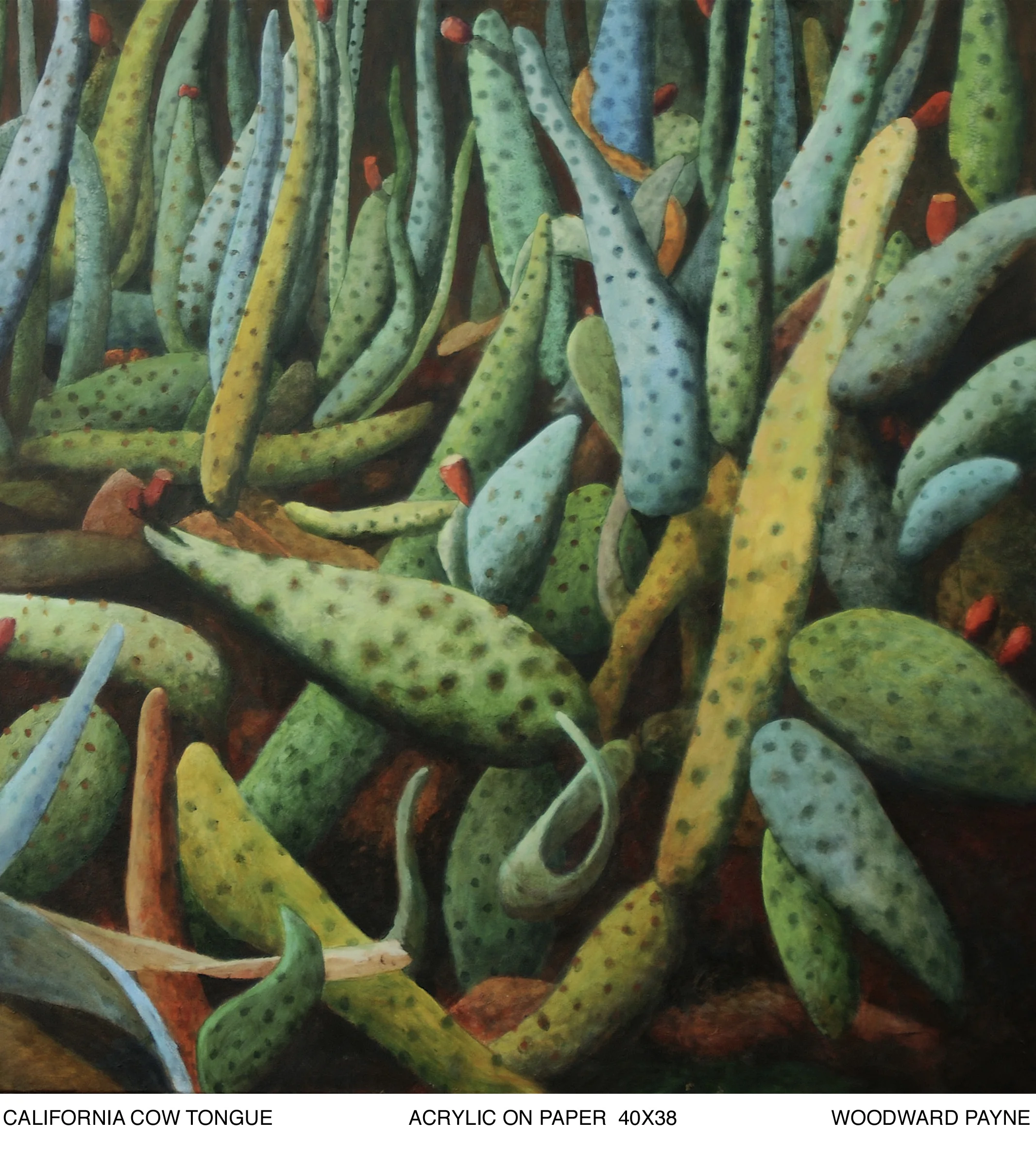CALIFORNIA COW TONGUE 40X38 axrylic.jpg