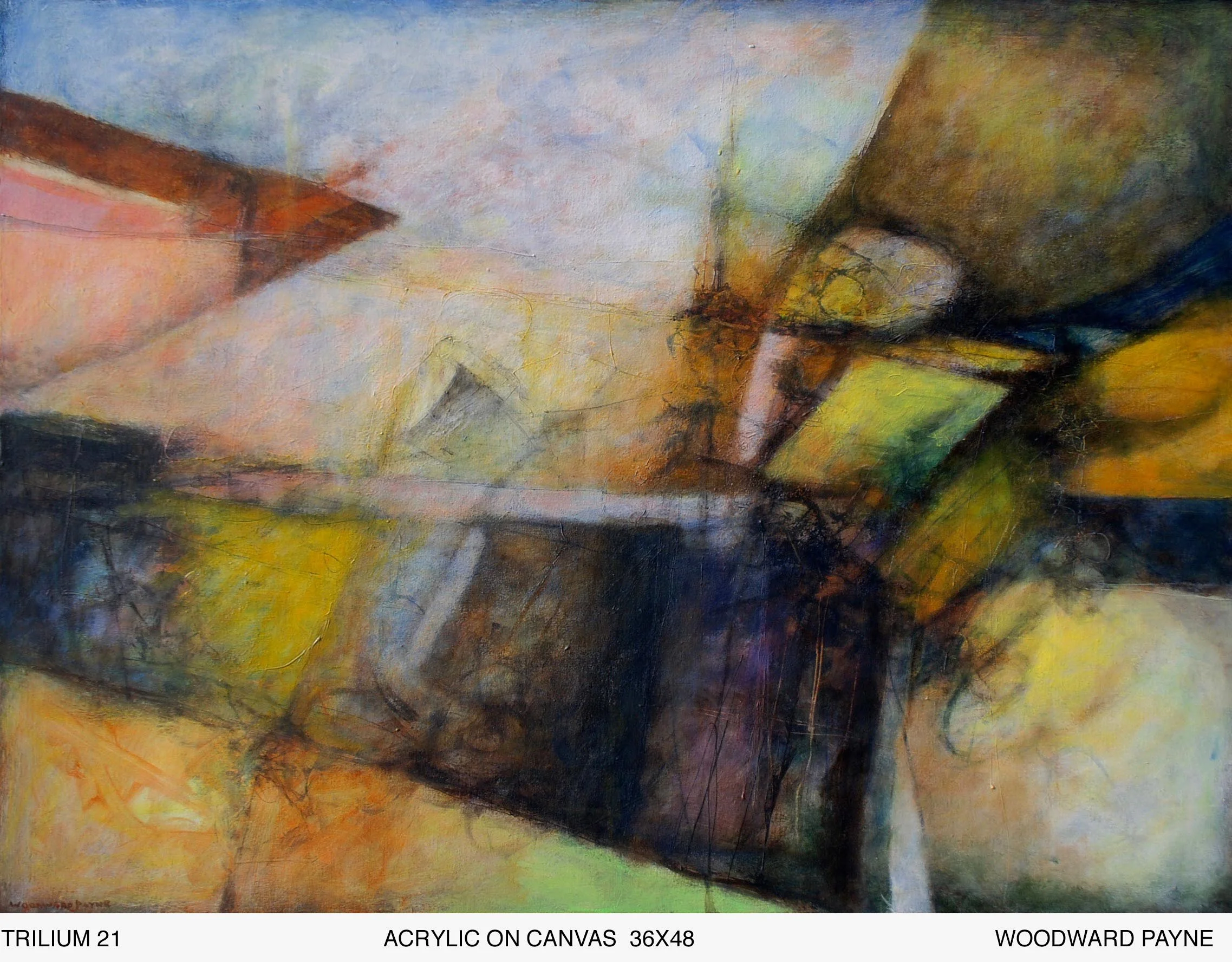 TRILIUM 21, 36X48 acrylic.jpg
