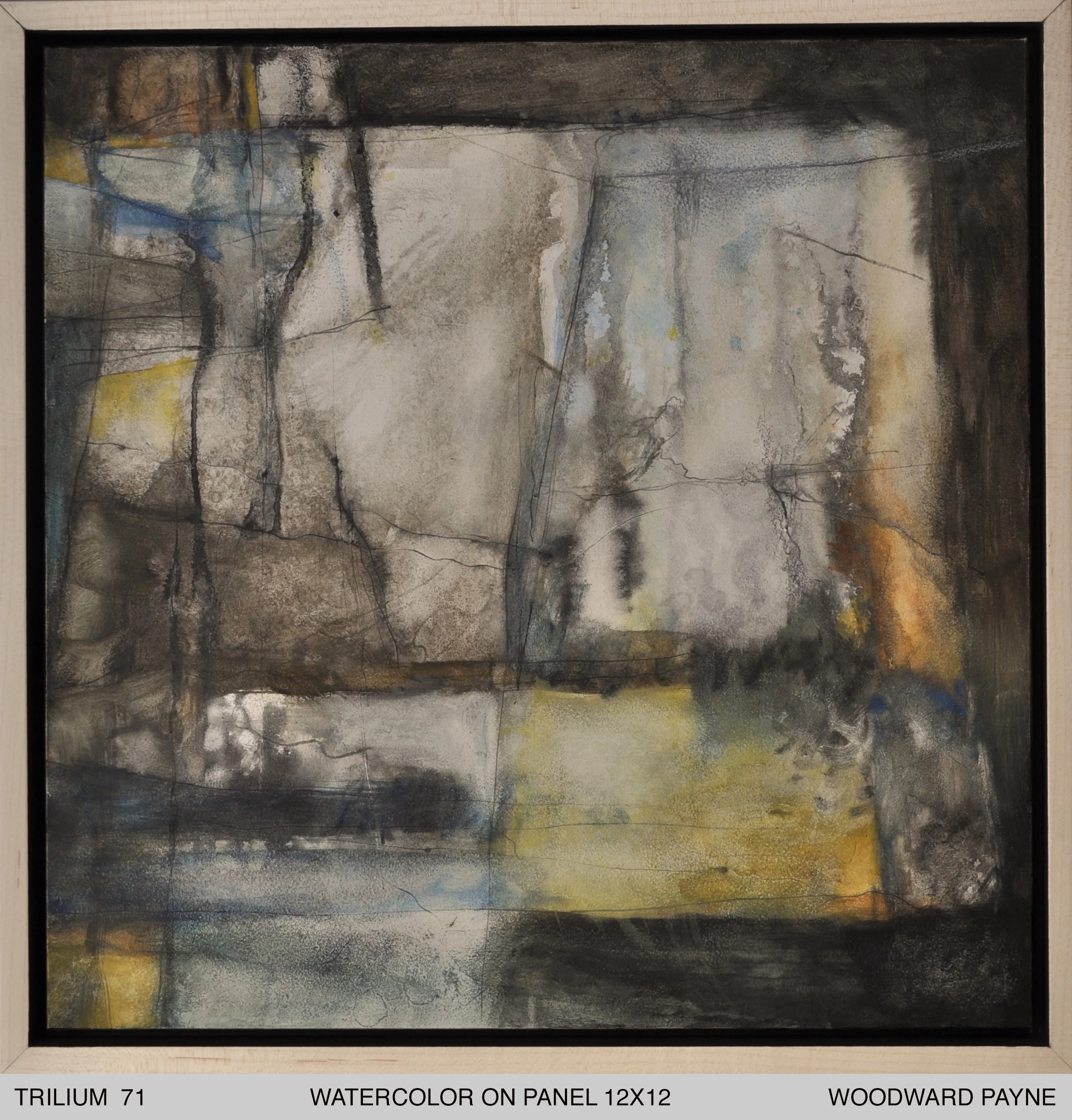 TRILIUM 71, 12X12 watercolor.jpg