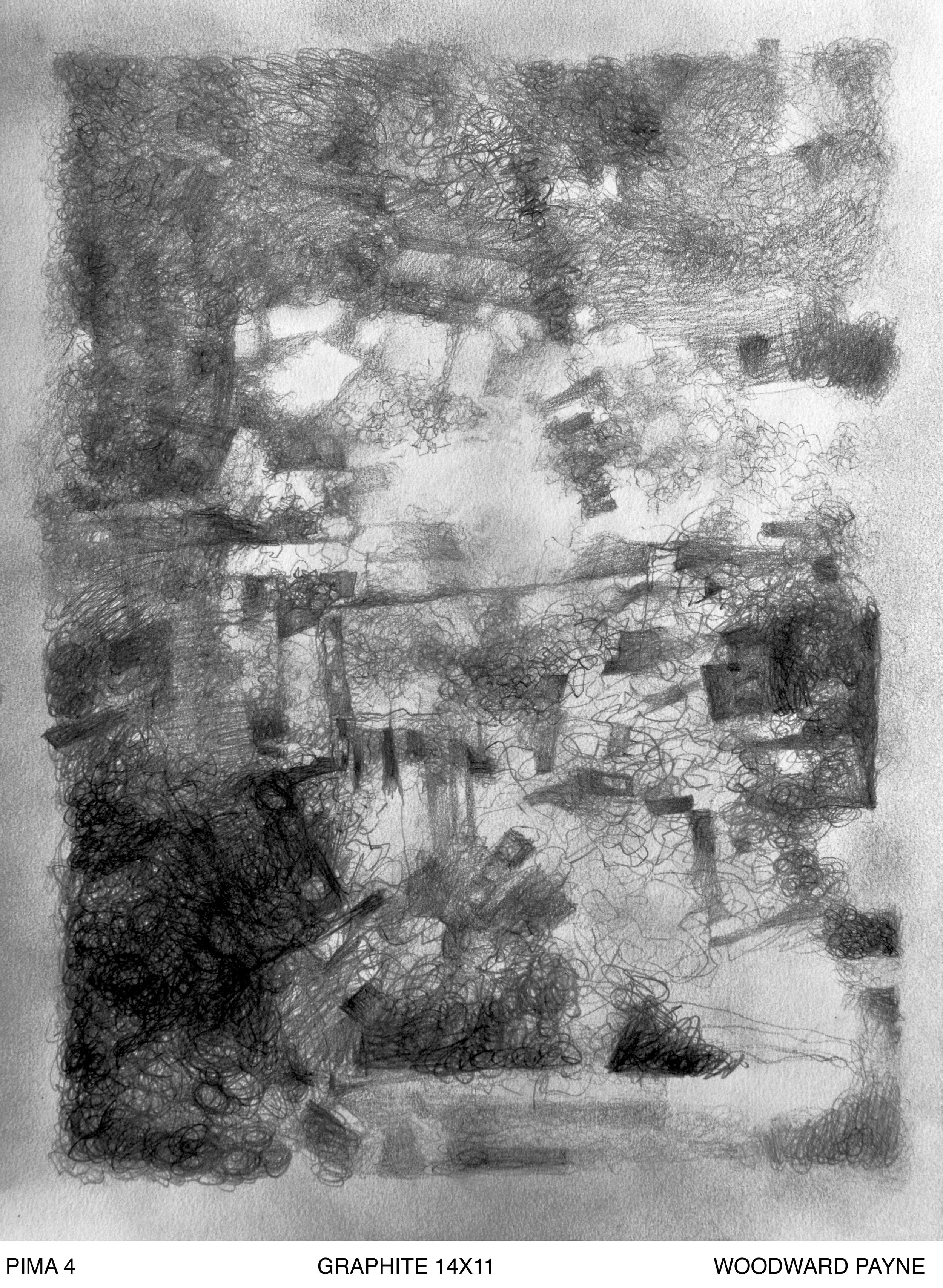 PIMA 4, 14X11 graphite.jpg
