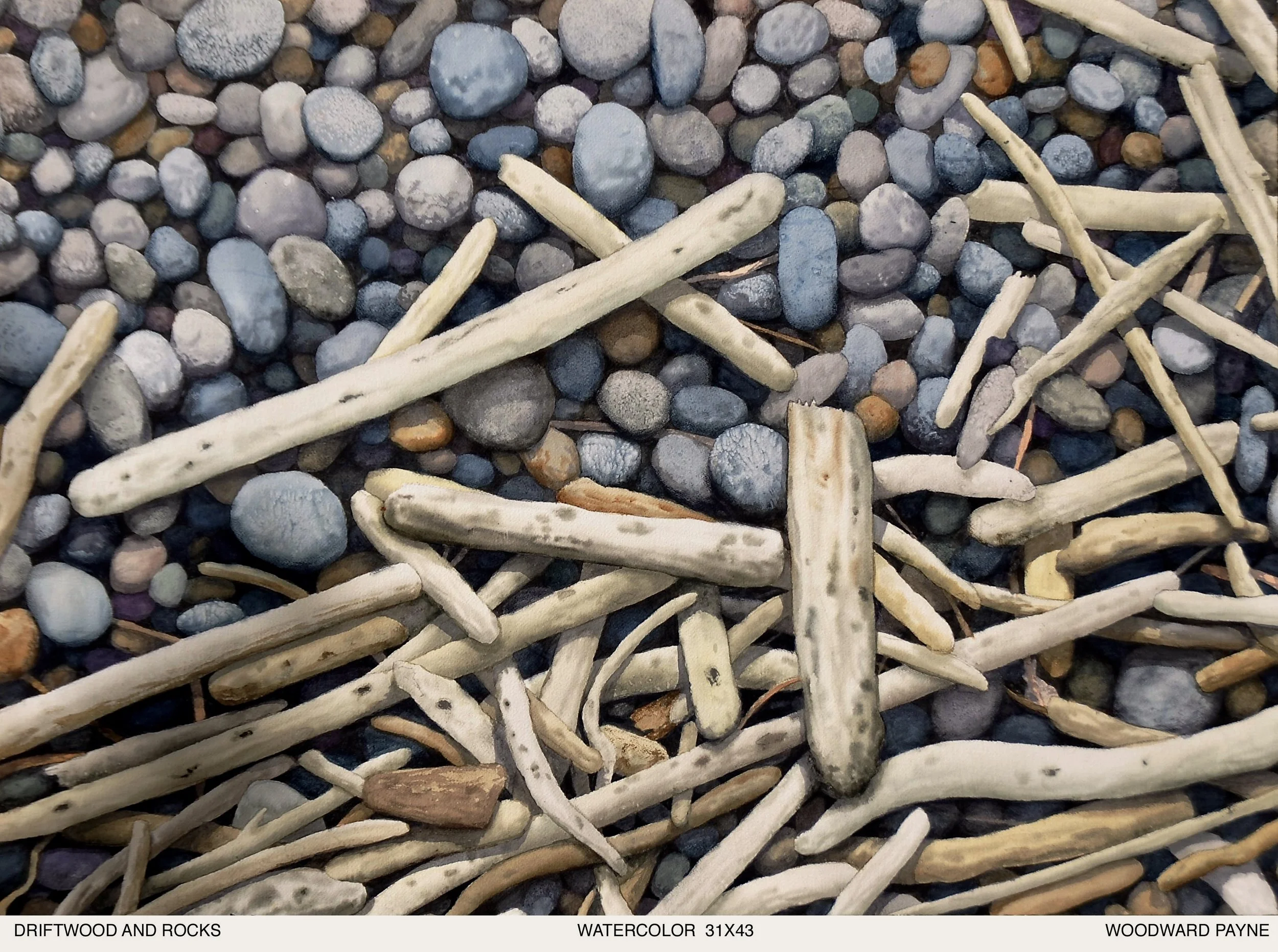 DRIFTWOOD AND ROCKS 31X43 watercolor - Version 2.jpg
