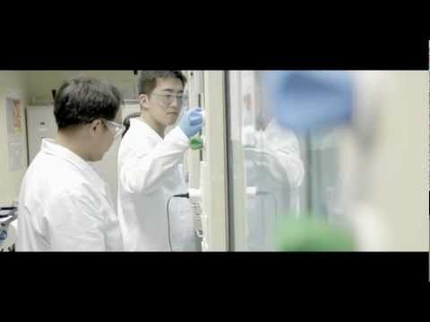 Episode One, Part 2/3 - Wie ist es, in Singapur zu arbeiten?