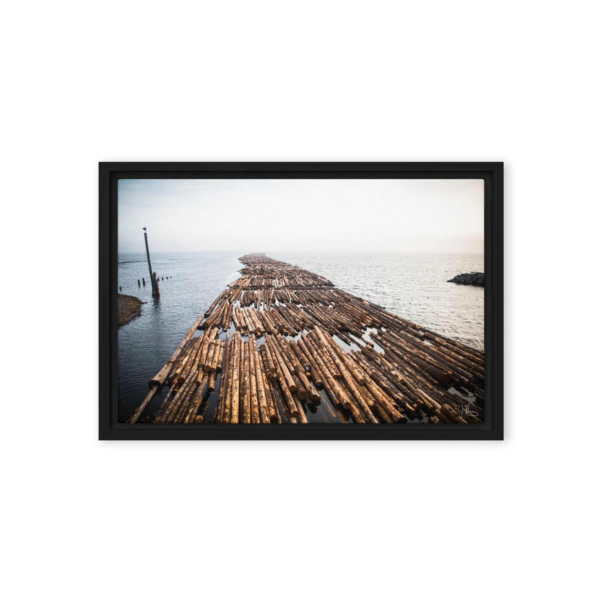 framed-canvas-(in)-black-12x18-front-68b1e2956cb77.jpg
