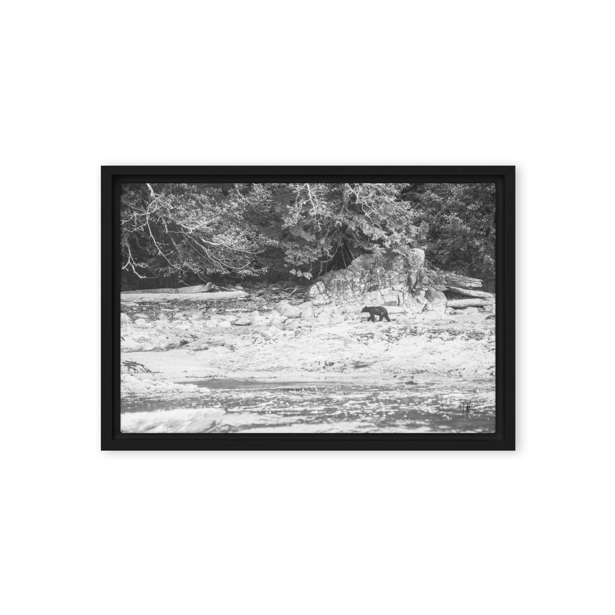 framed-canvas-(in)-black-12x18-front-68c44b8be2cc4.jpg