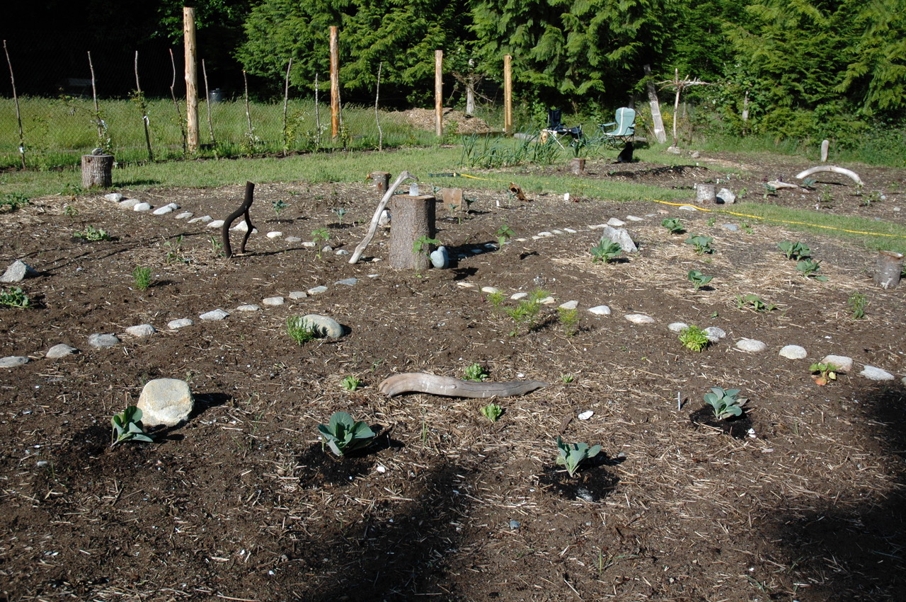 Garden 4 (1).jpg