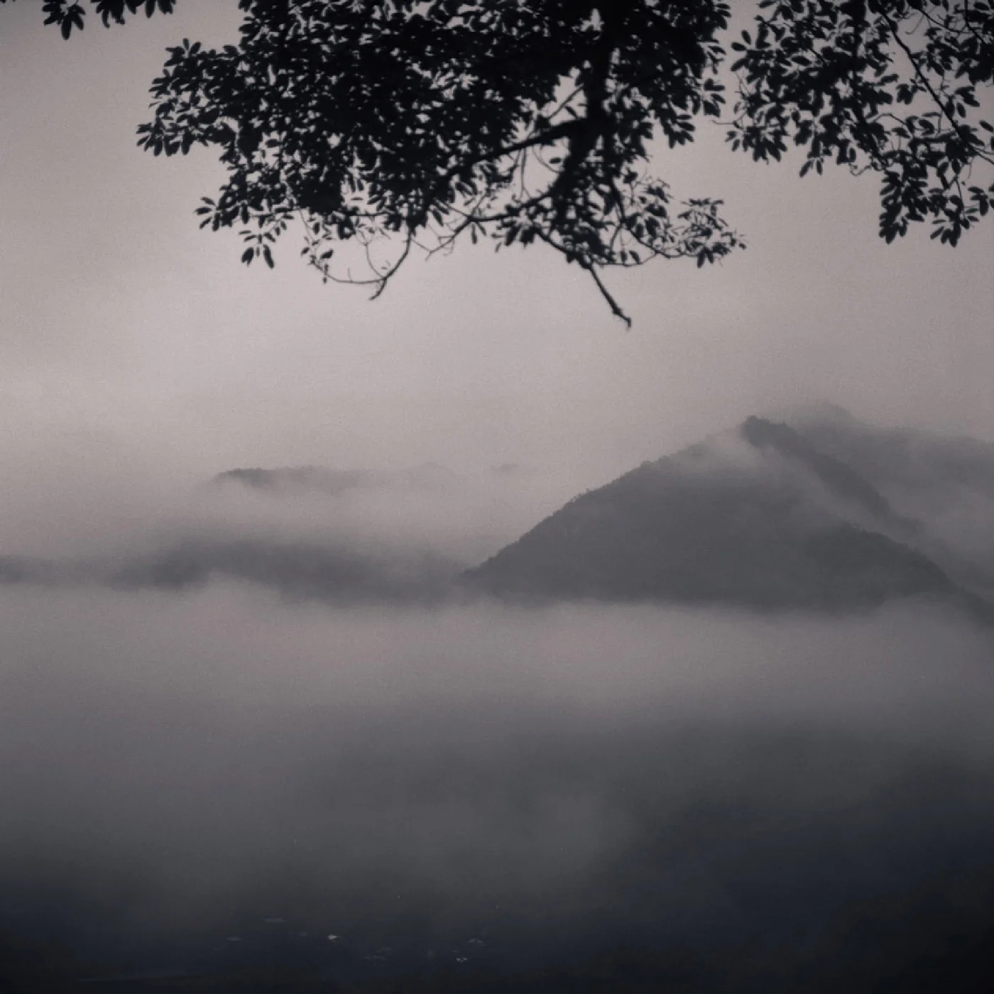 Fog over the riceterras in Batad, Philippines