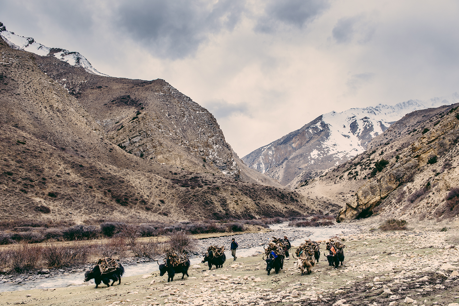 photos from trekking in Dolpo region in Nepal