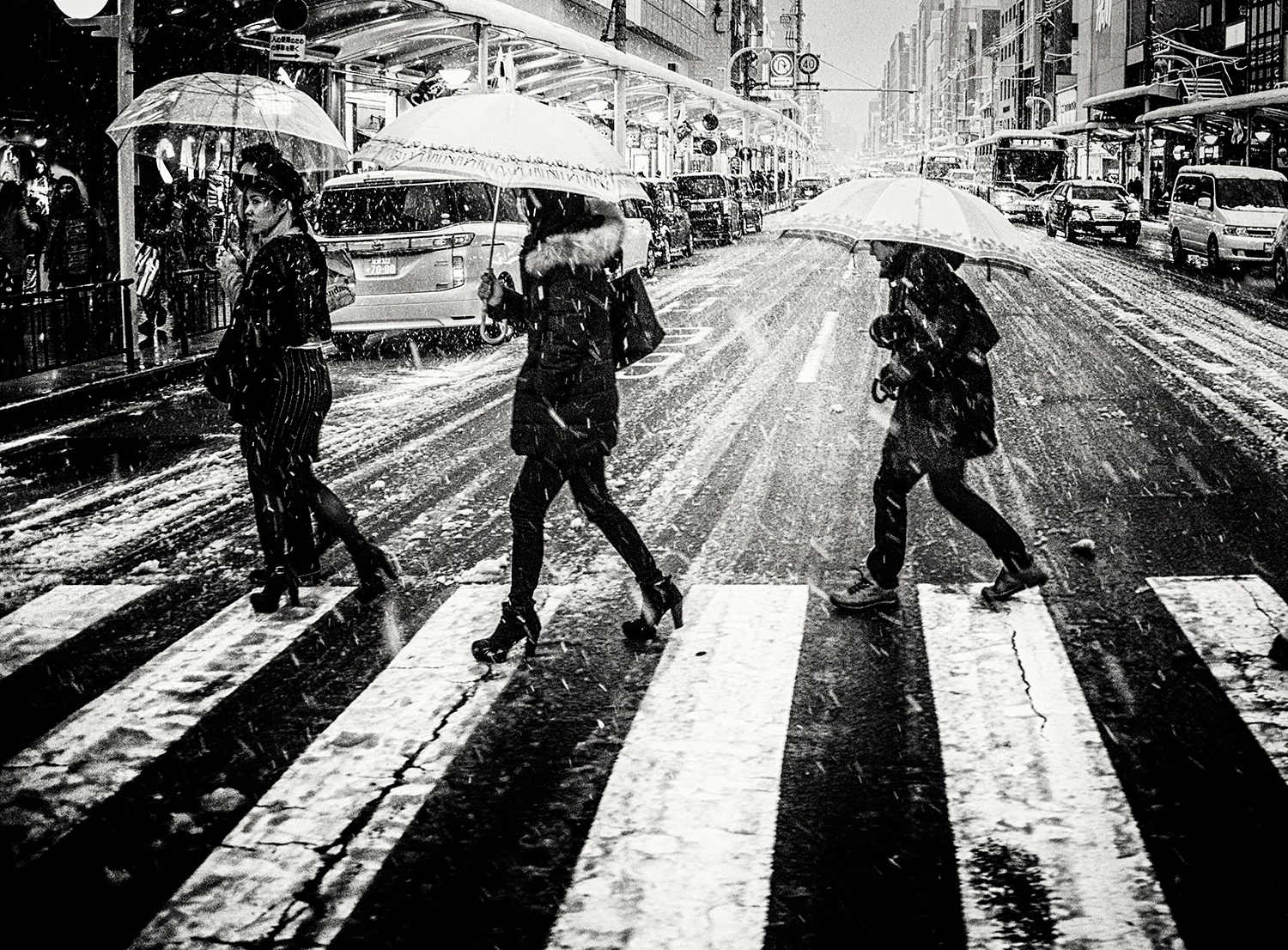 Snowing in Kyoto