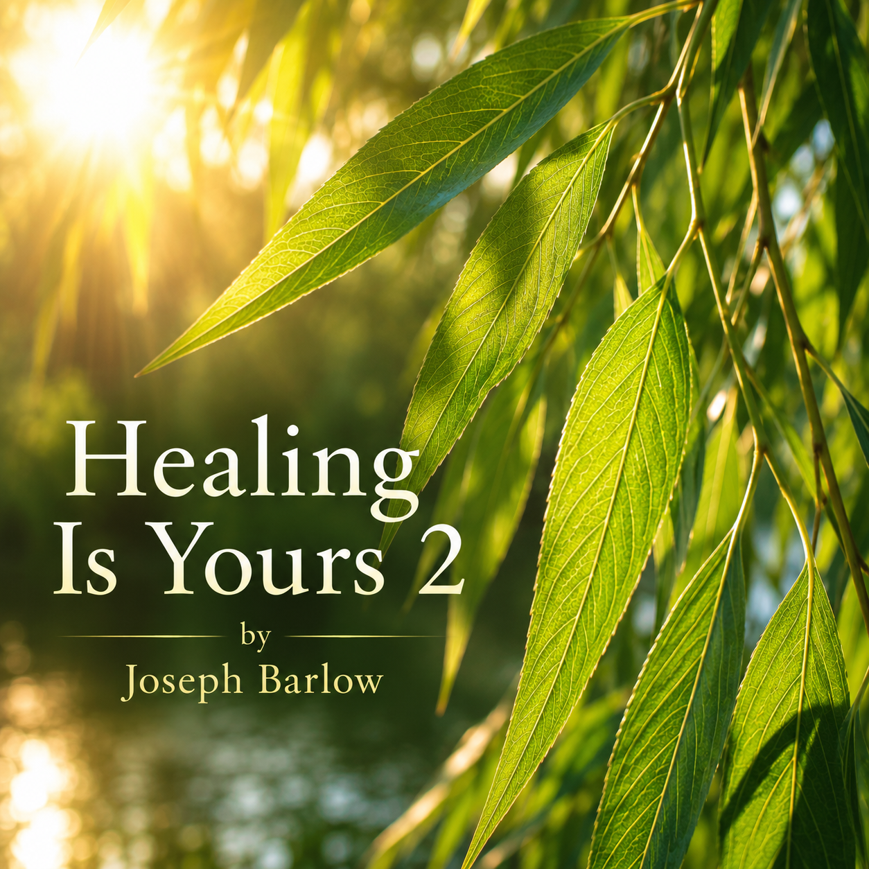 HIY 2 Cover.png