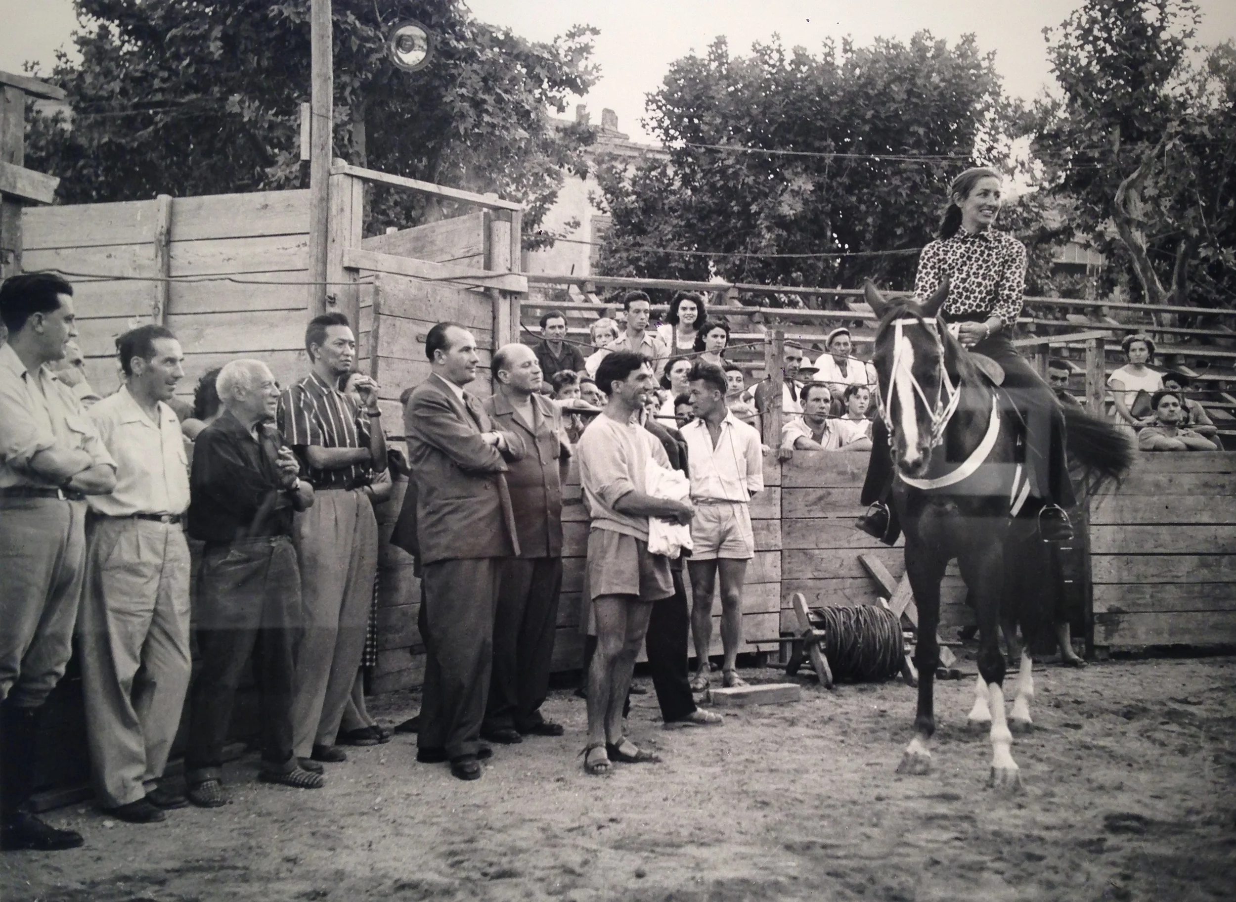 At the Arena | 1954