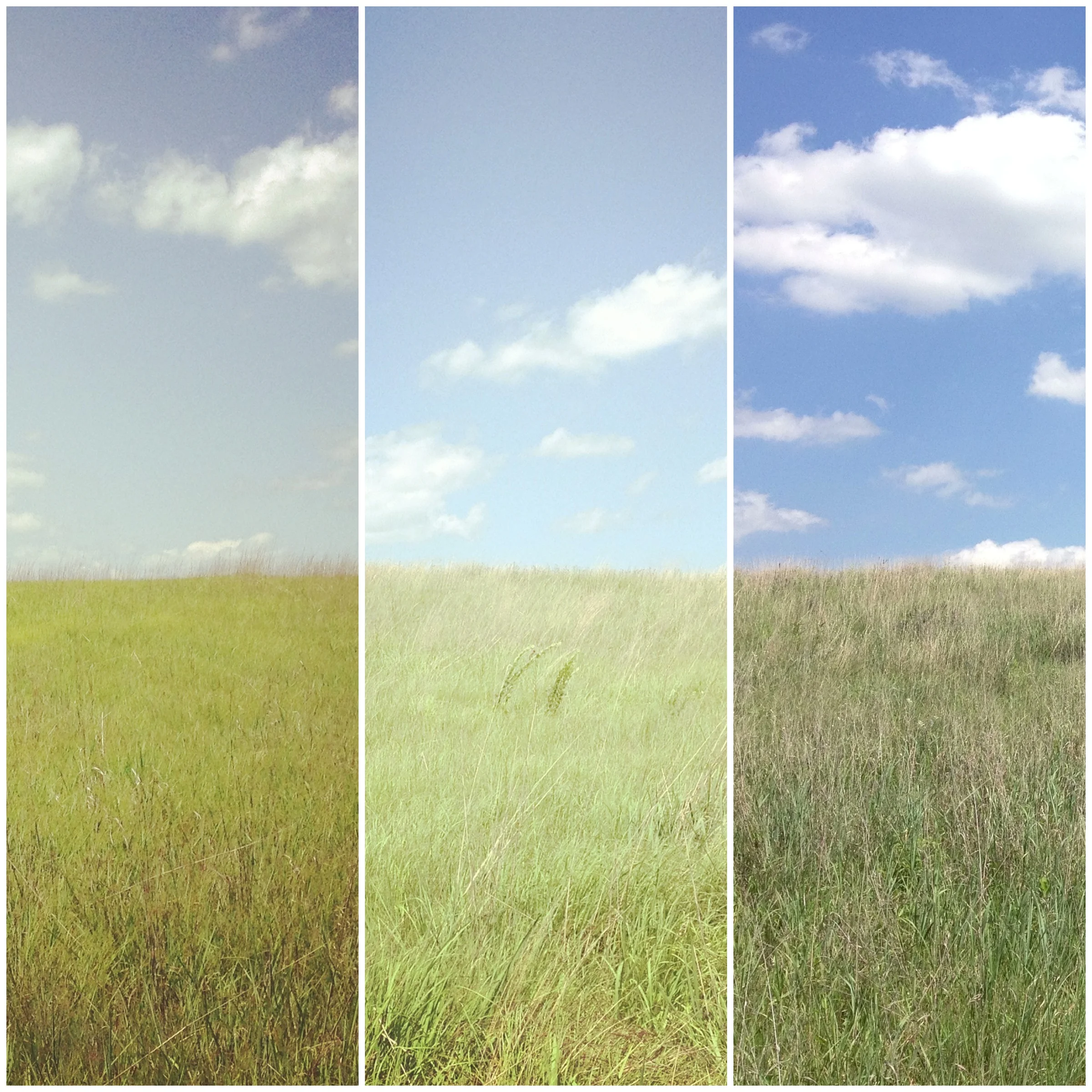 Crow-Hassan Park Reserve 