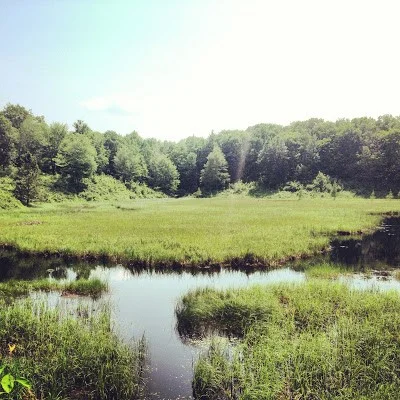 Mille Lacs-Kathio State Park 