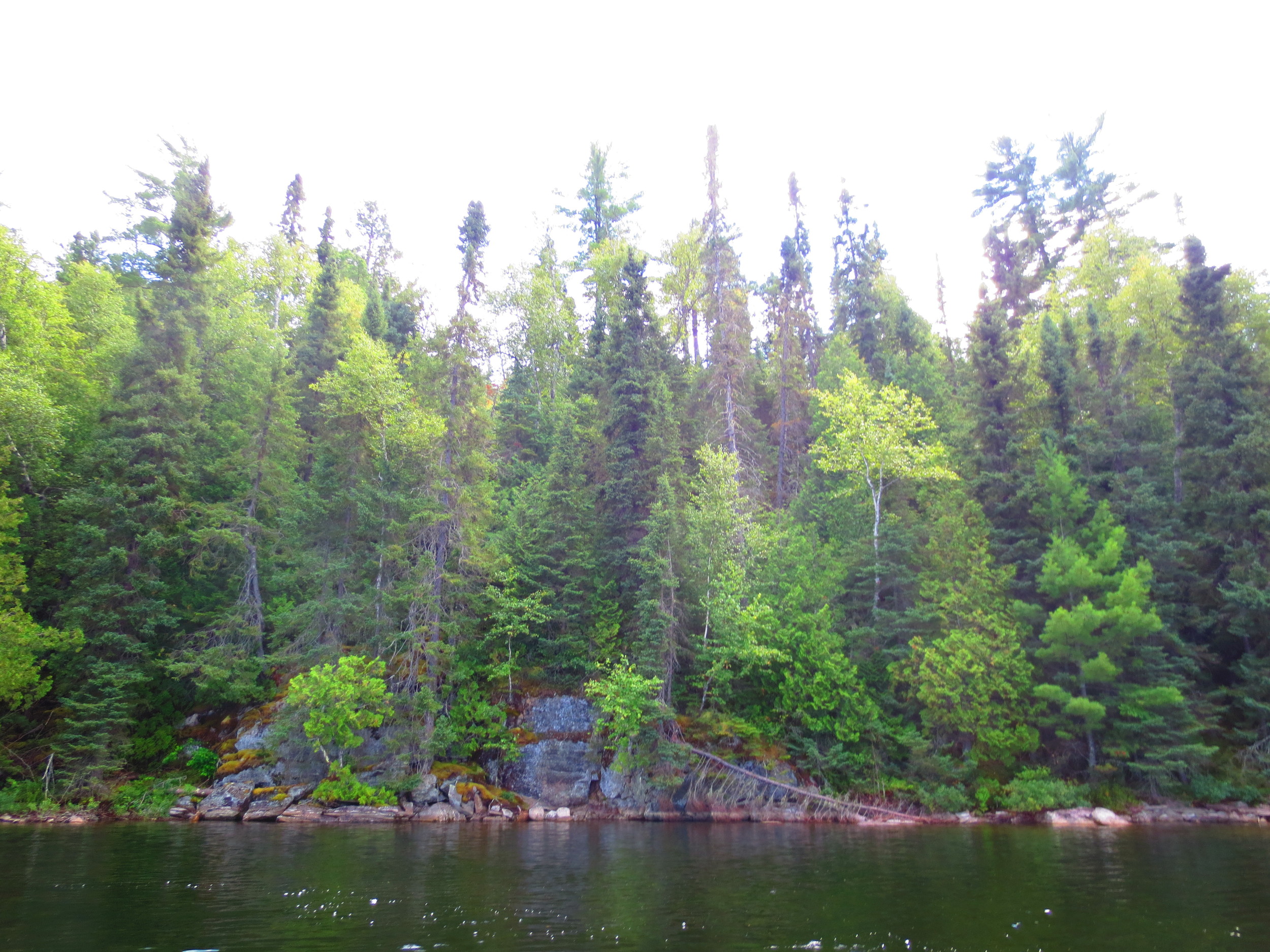 BWCA