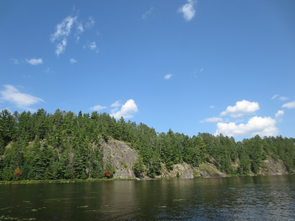 BWCA