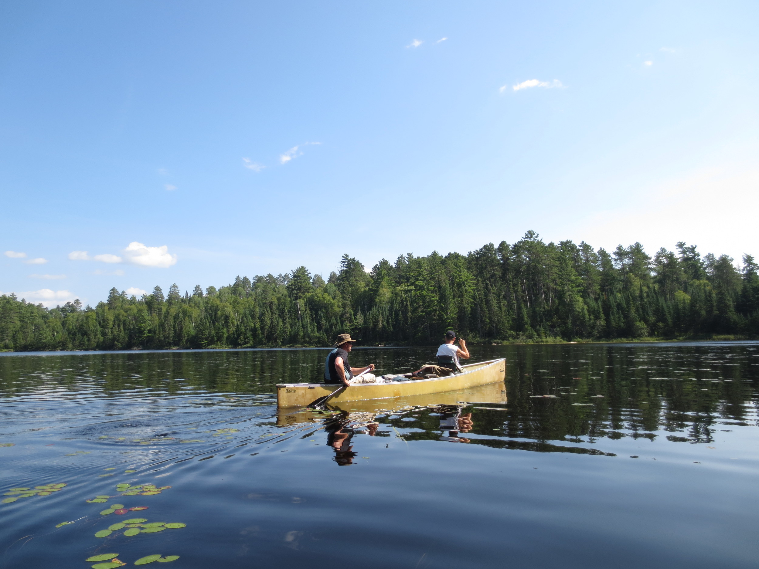 BWCA Canoeing 