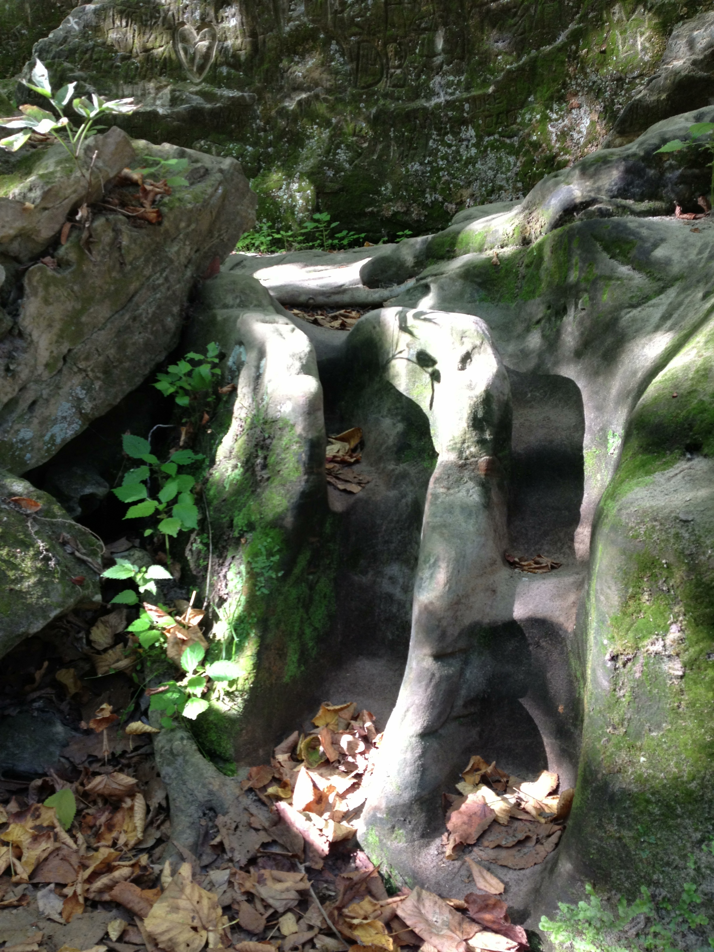  The footprints of many explores in Minneopa State Park&nbsp; 