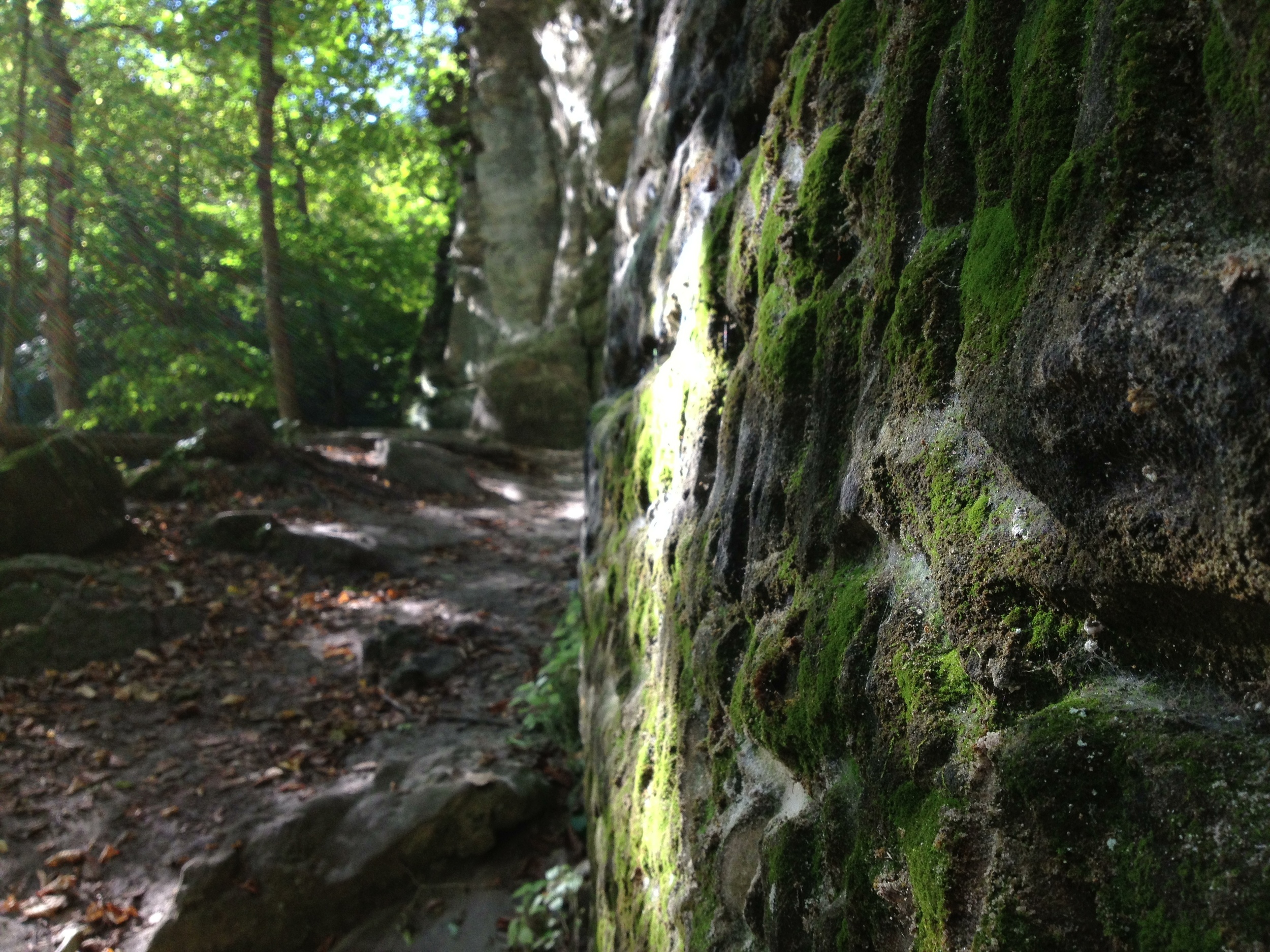  The back stairs at Minneopa State Park 