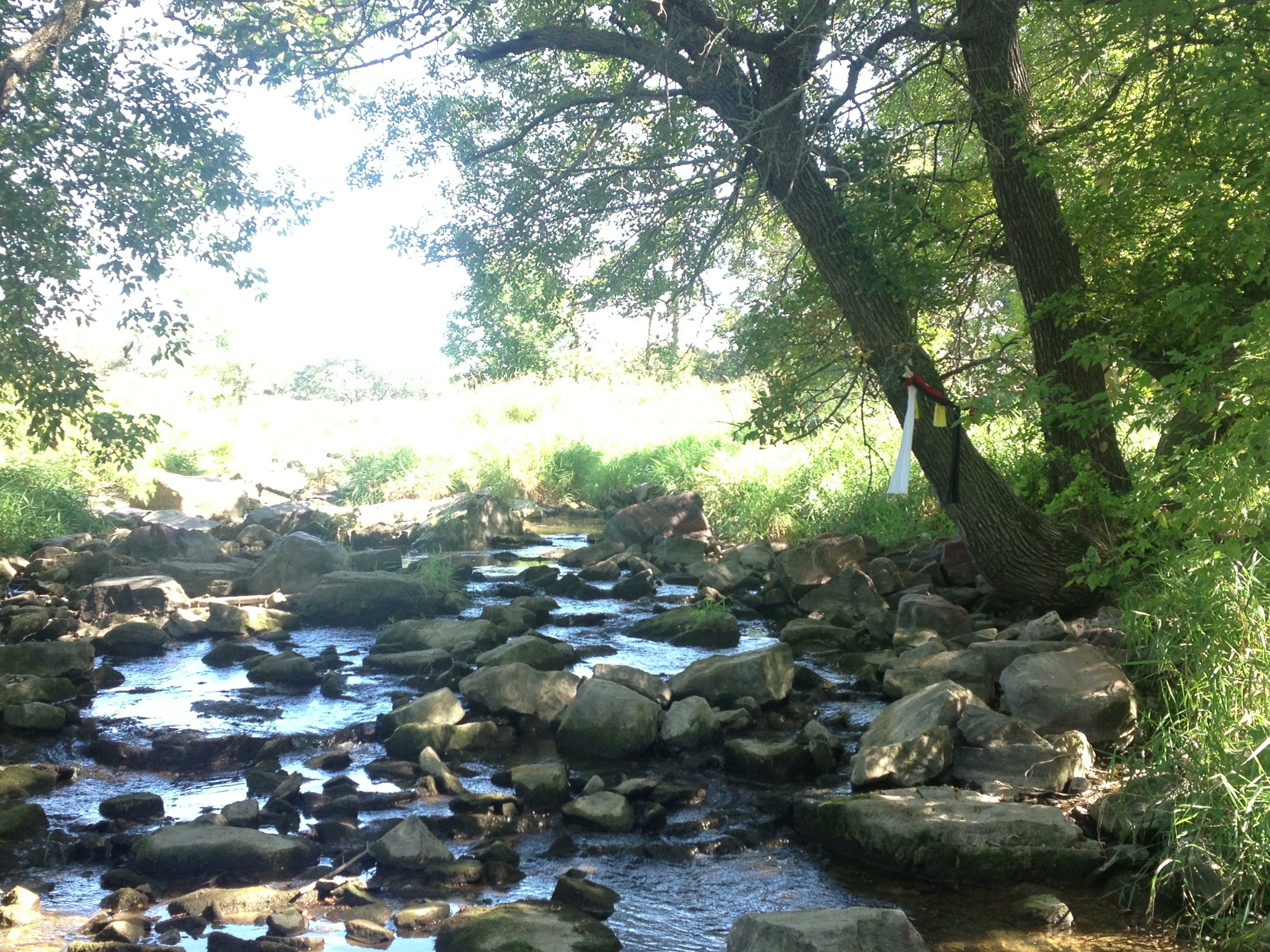  Prayer scarves over a creek at Pipestone National Monument. The site is considered holy by the Lakota&nbsp; 