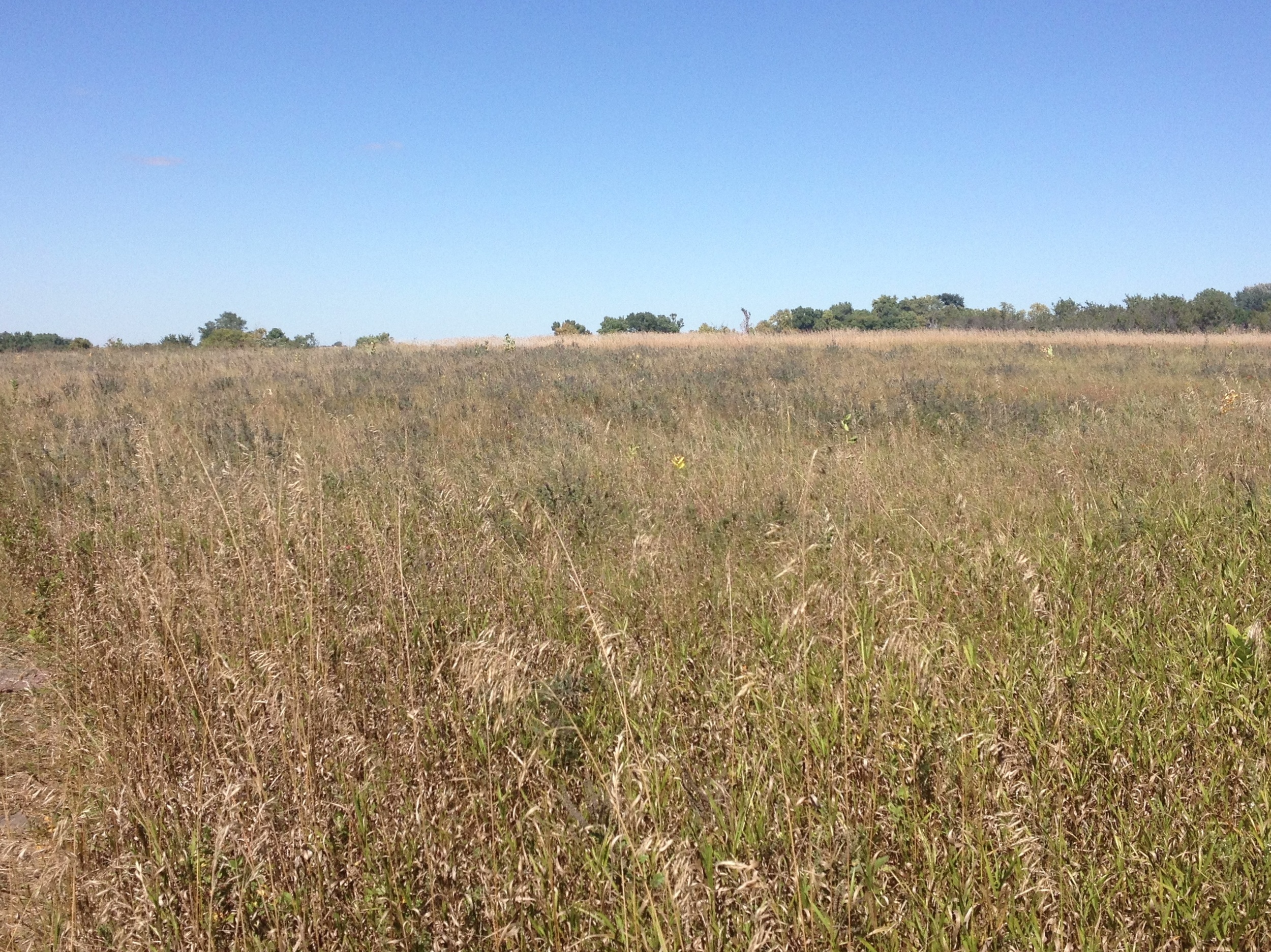  Prairie at Pipestone National Monument&nbsp; 