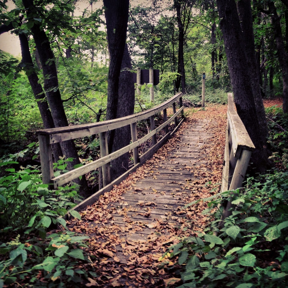 Bridge at Kilen Woods State Park