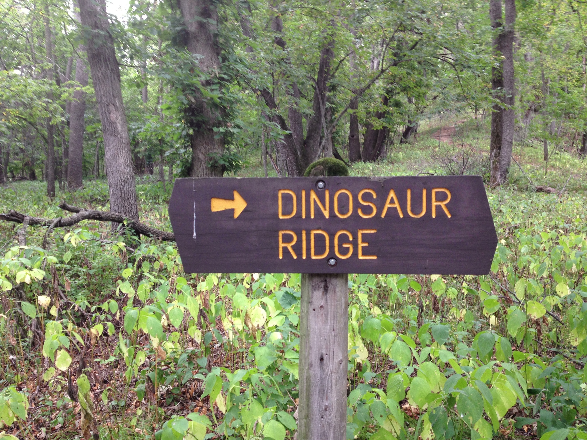 Dinosaur Ridge at Kilen Woods State Park 