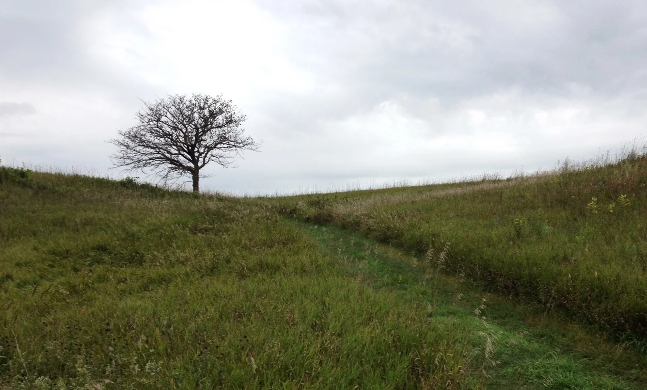 Kilen Woods State Park 