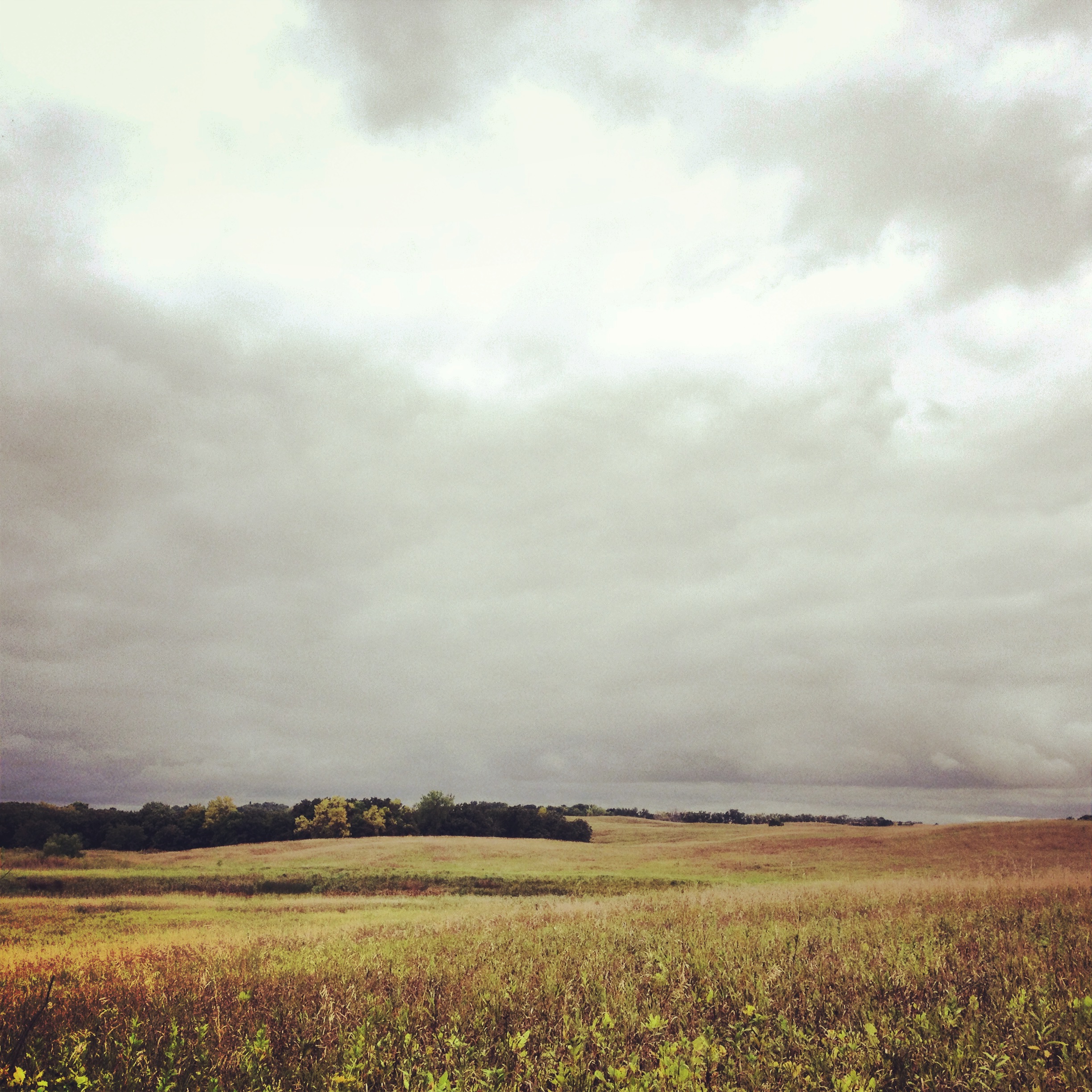 The Prairie at Camden State Park 