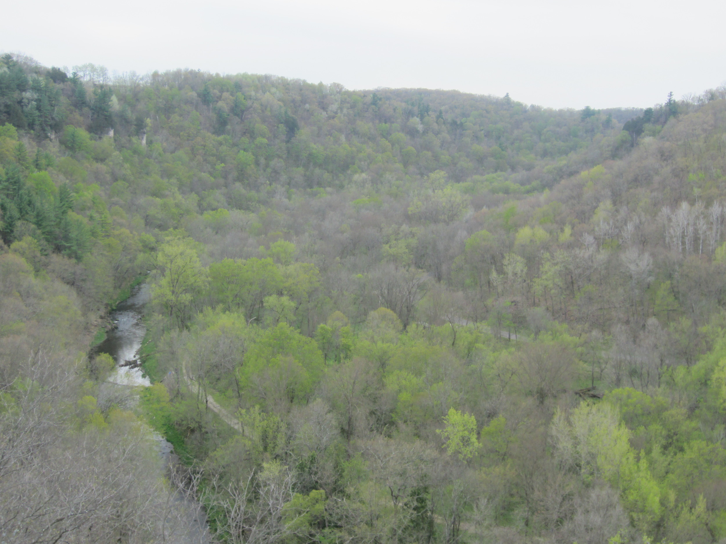Overlook Scenery at Whitewater State Park