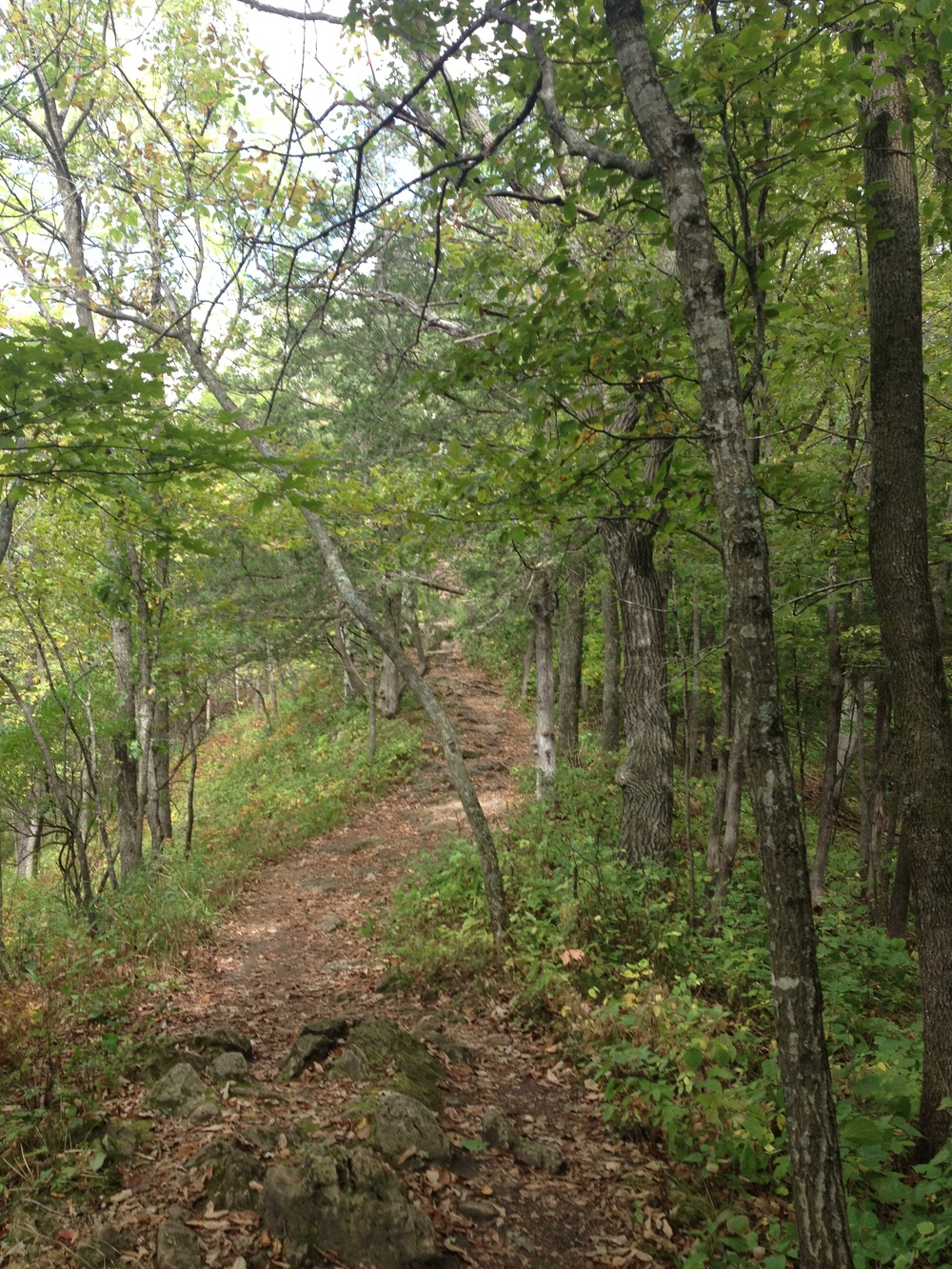 Hiking Trail at Whitewater State Park