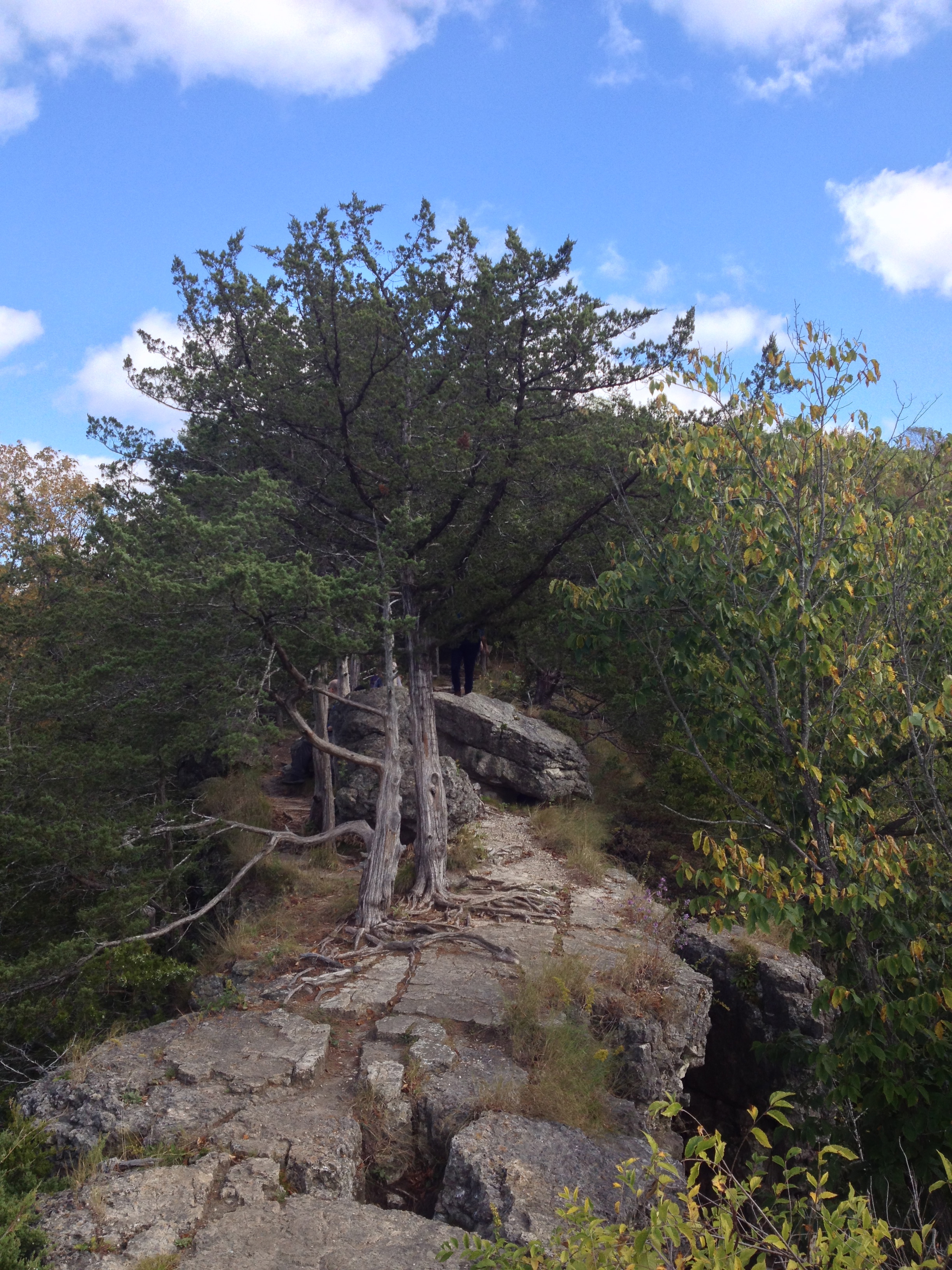 Cliff Overlook at Whitewater State Park