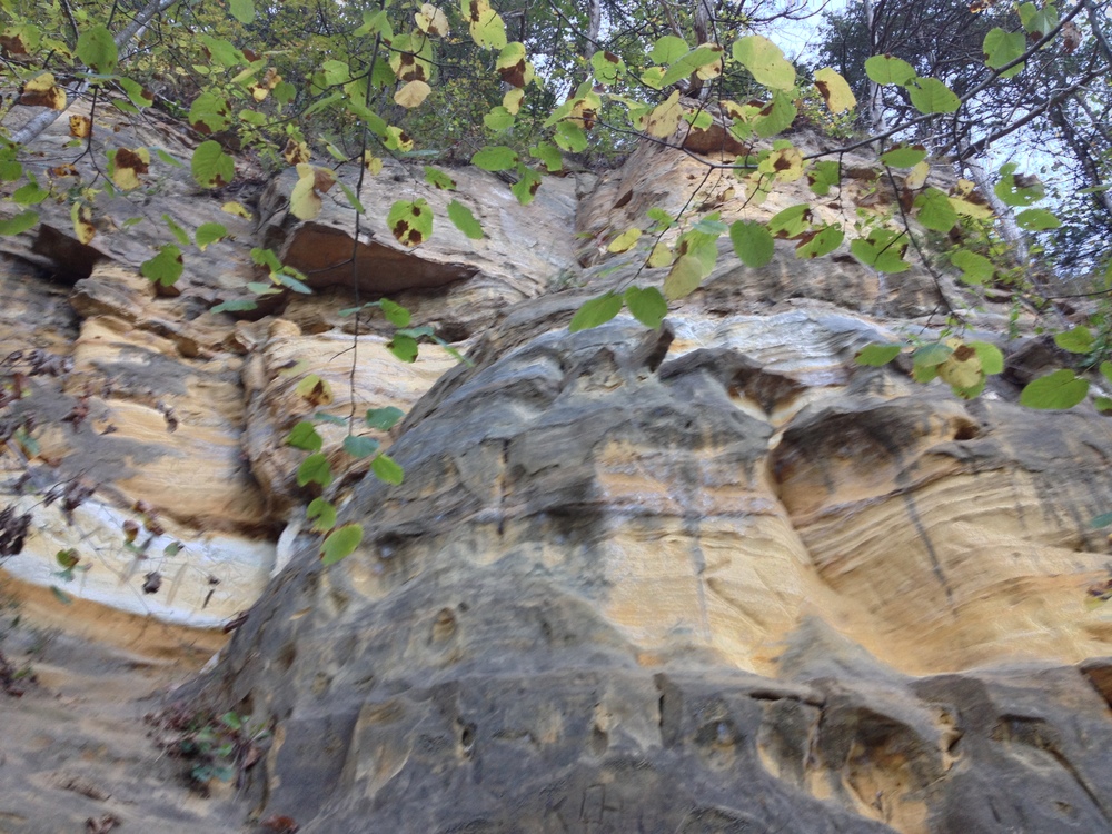 Carvings at Whitewater State Park