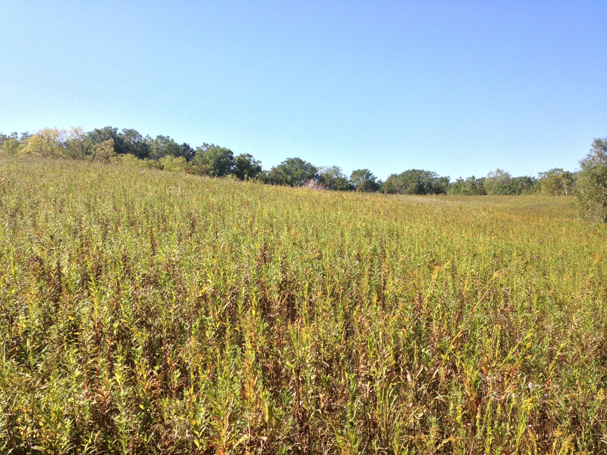 Prairie at Whitewater State Park
