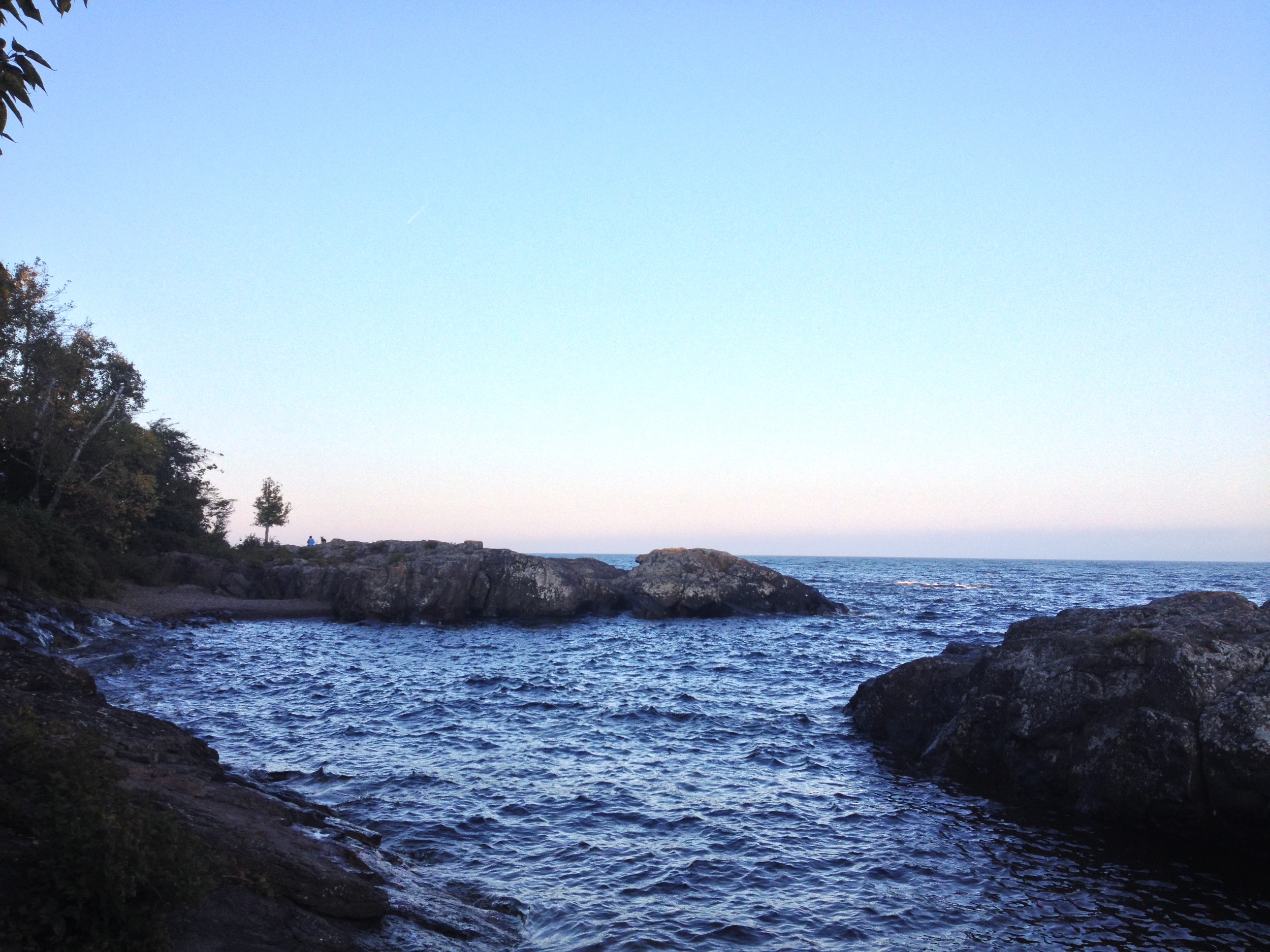 Lone tree on Lake Superior at Temperance River State Park