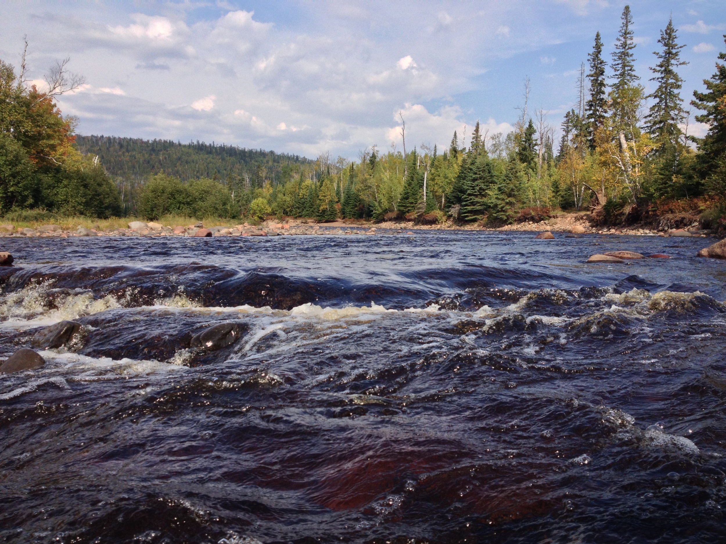 Minnesota wilderness and forests 