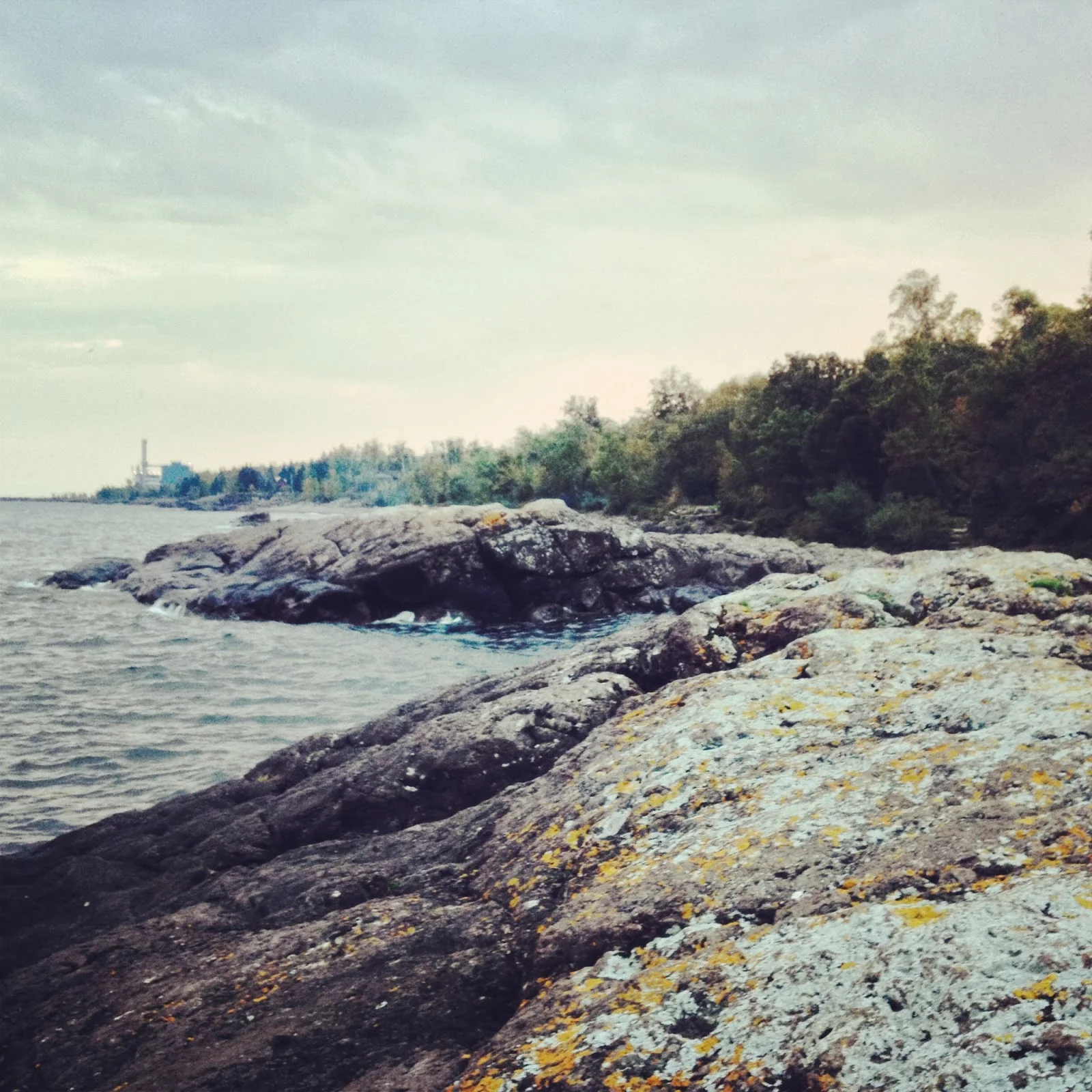 The lichen encrusted Lake Superior shore outside of Cascade State Park. 