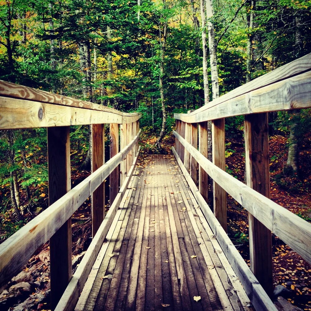  Crossing a creek at Cascade River State Park&nbsp; 