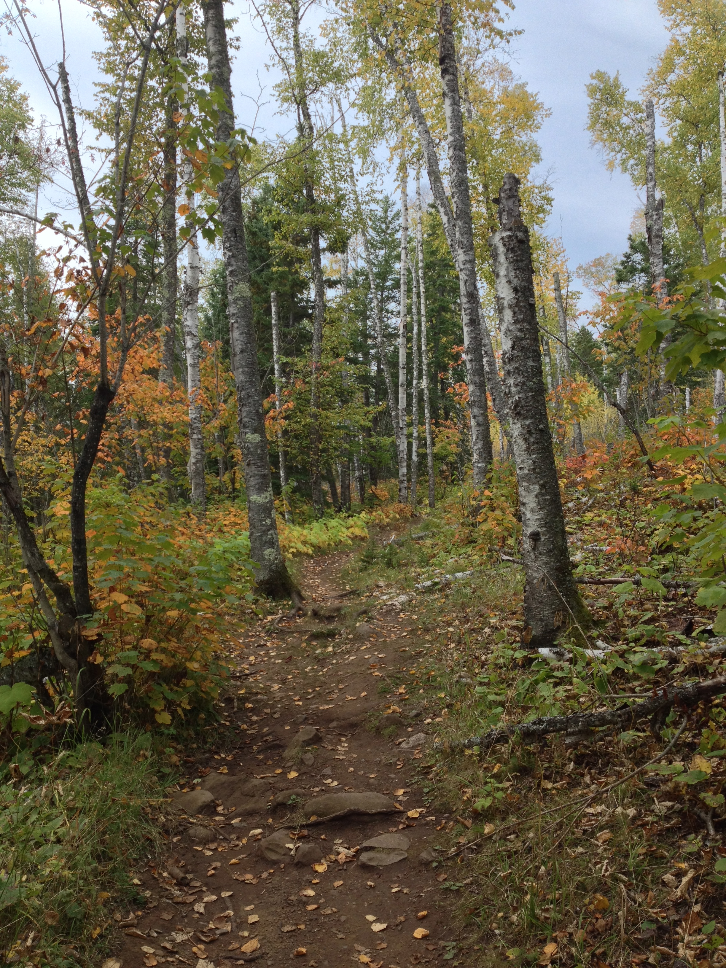  The Minnesota Hiking Club Trail at Cascade River State Park&nbsp; 